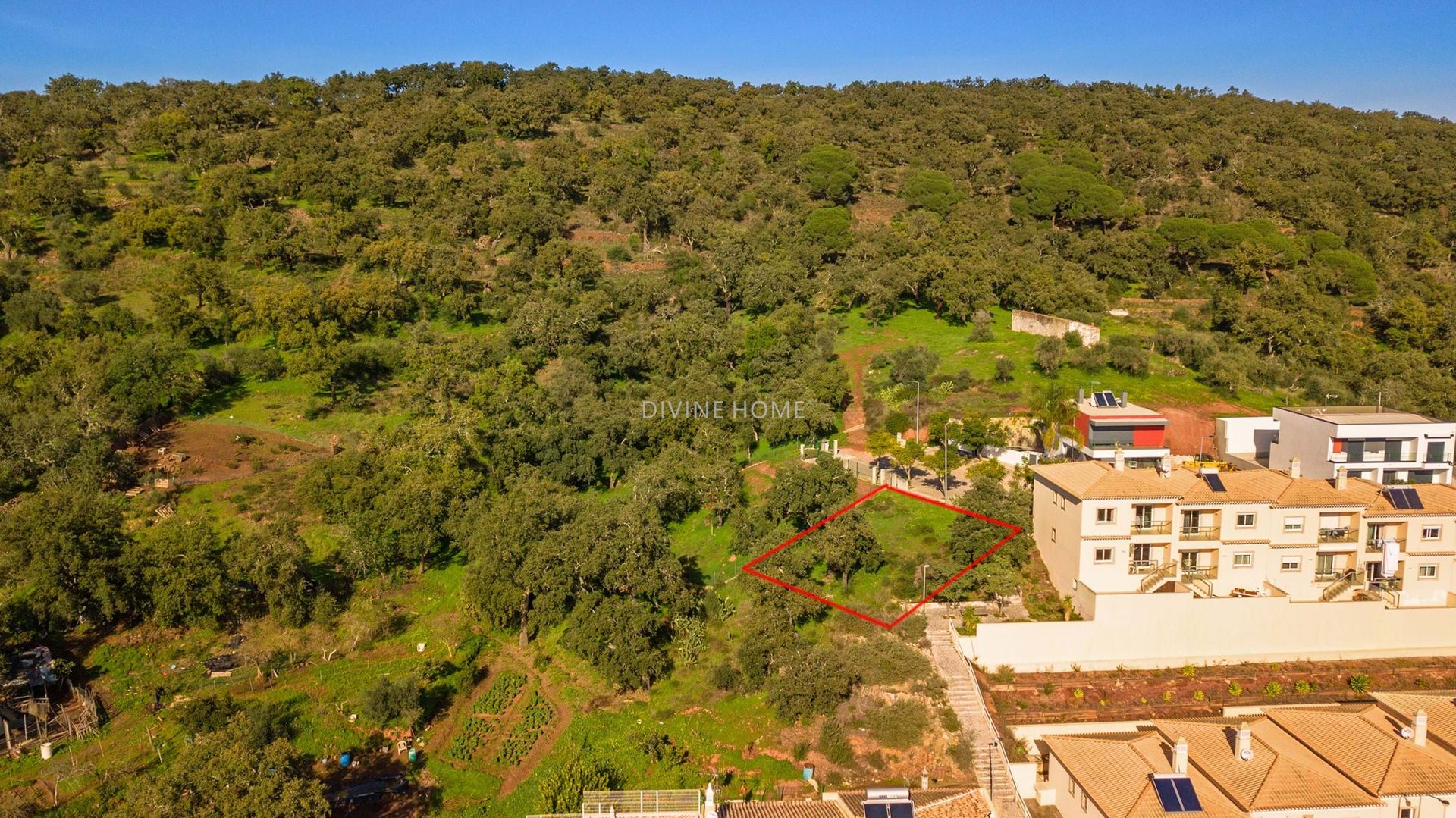 Tierra en São Bartolomeu de Messines, Faraón 10756680