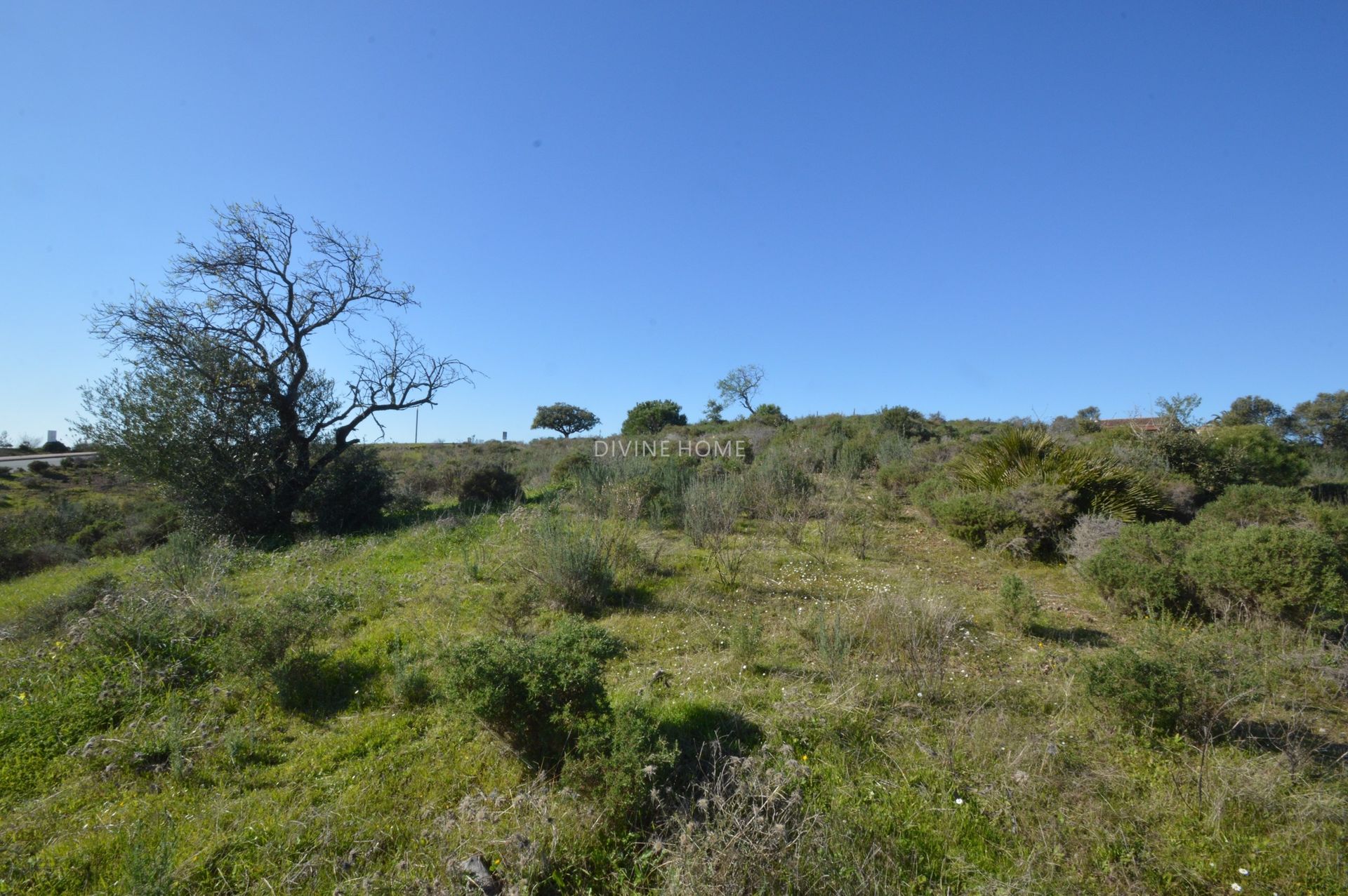 Terre dans Vila Nova de Cacela, Faro District 10756681