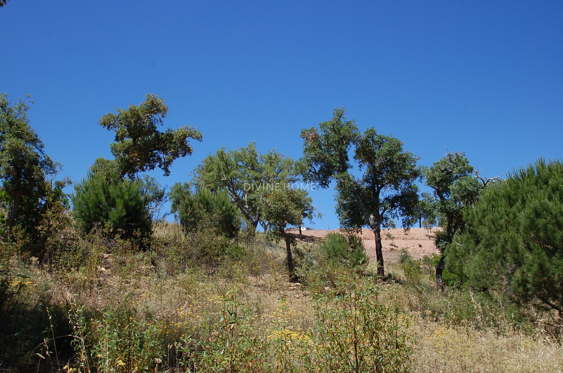 Jord i São Brás de Alportel, Faro District 10756766