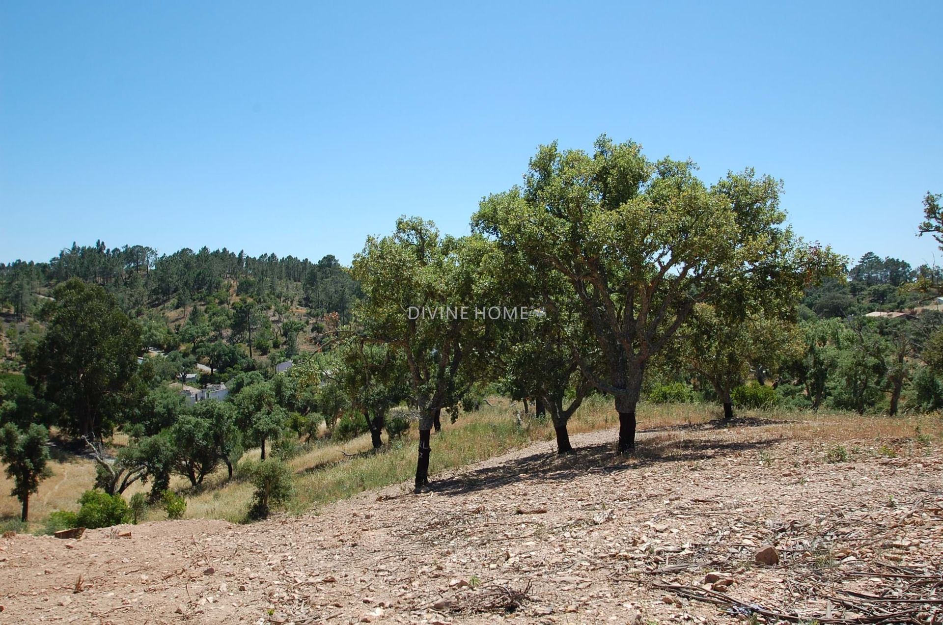 Jord i São Brás de Alportel, Faro District 10756766