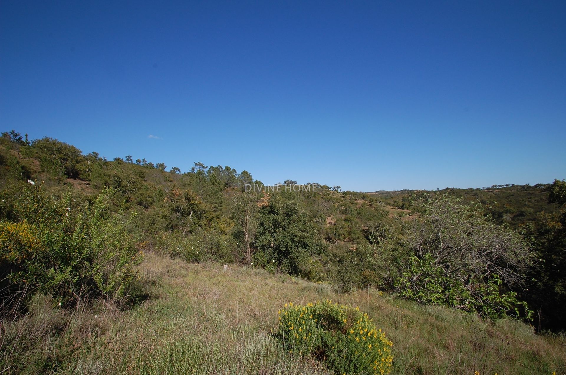 Terra no Monte Poço, Faro 10756773