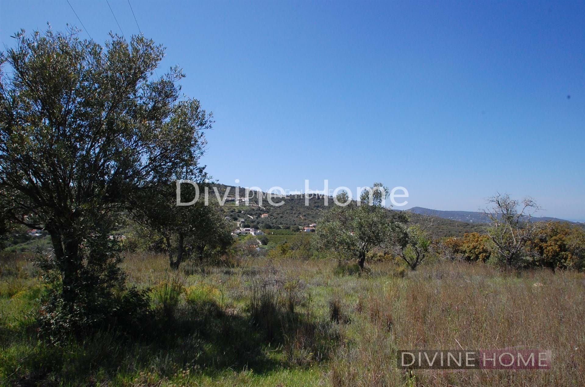 Land in Vilarinhos, Faro 10756787