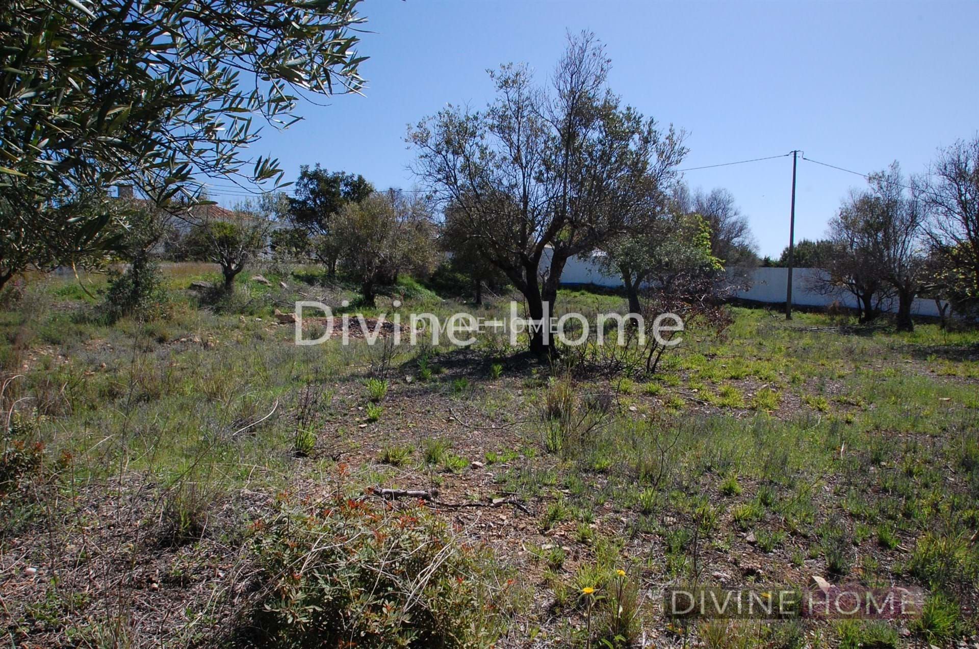 Land in Vilarinhos, Faro 10756787