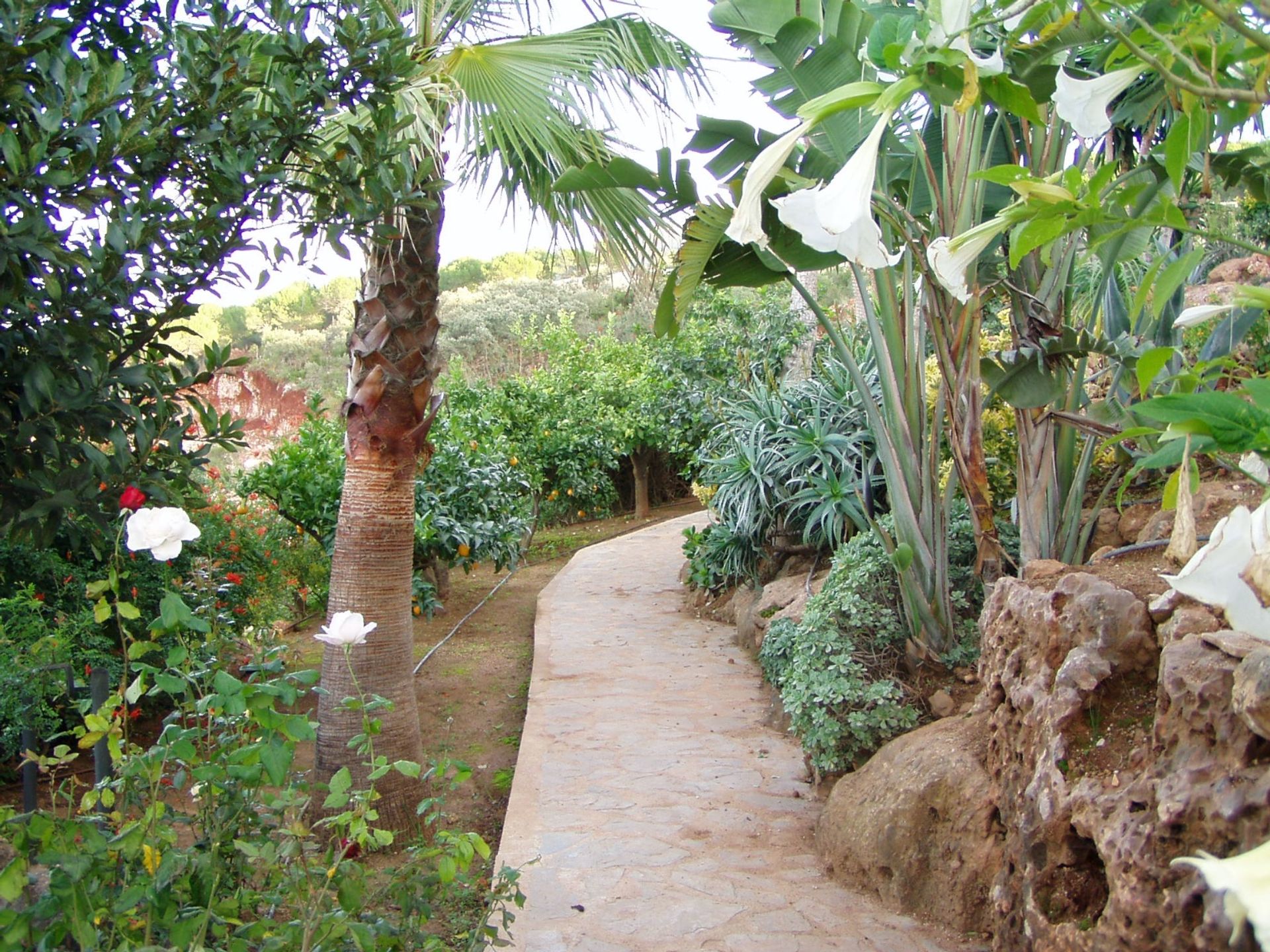 Huis in Alhaurín de la Torre, Andalucía 10757004