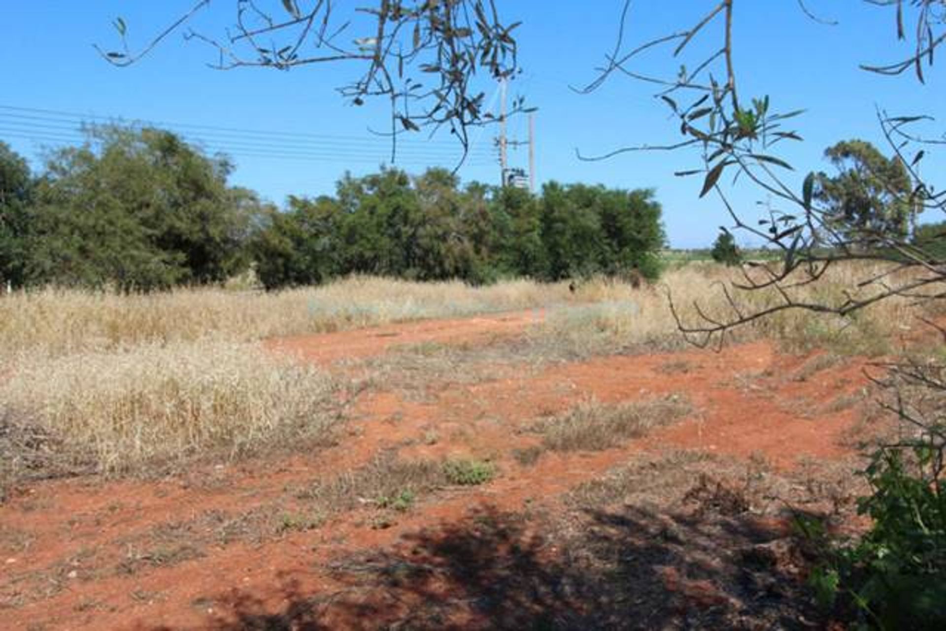 Land in Liopetri, Ammochostos 10757435