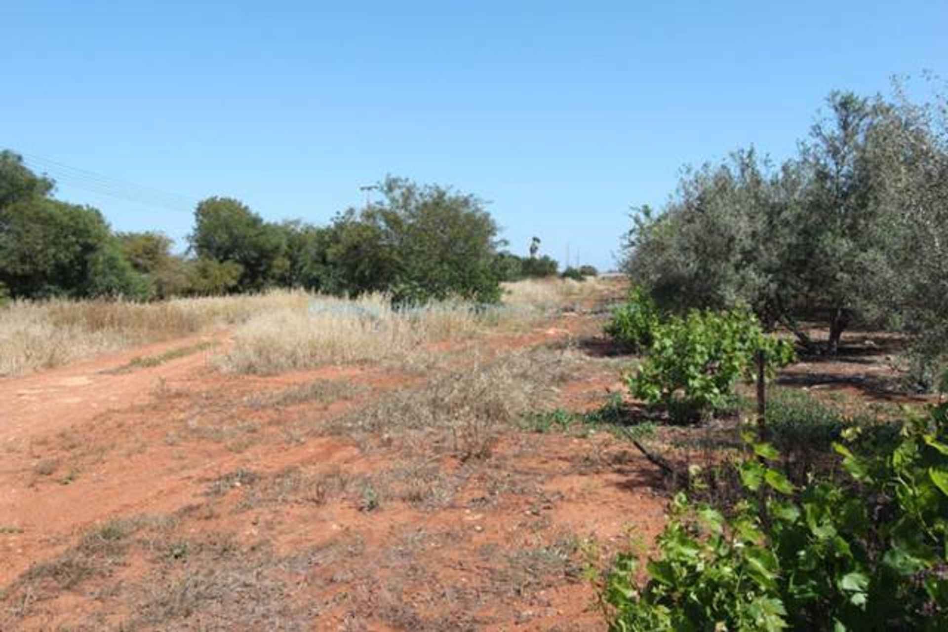 Land in Liopetri, Ammochostos 10757435