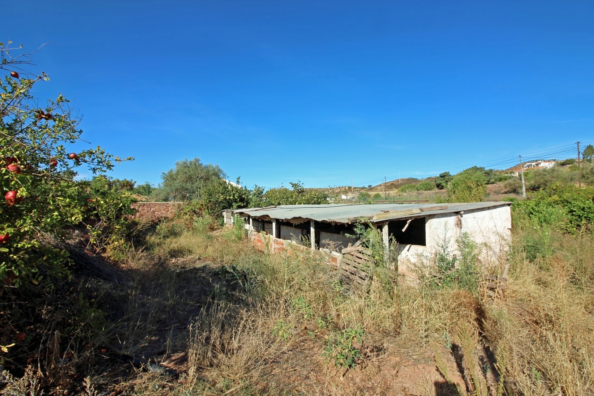 Huis in Silves, Faro District 10757491