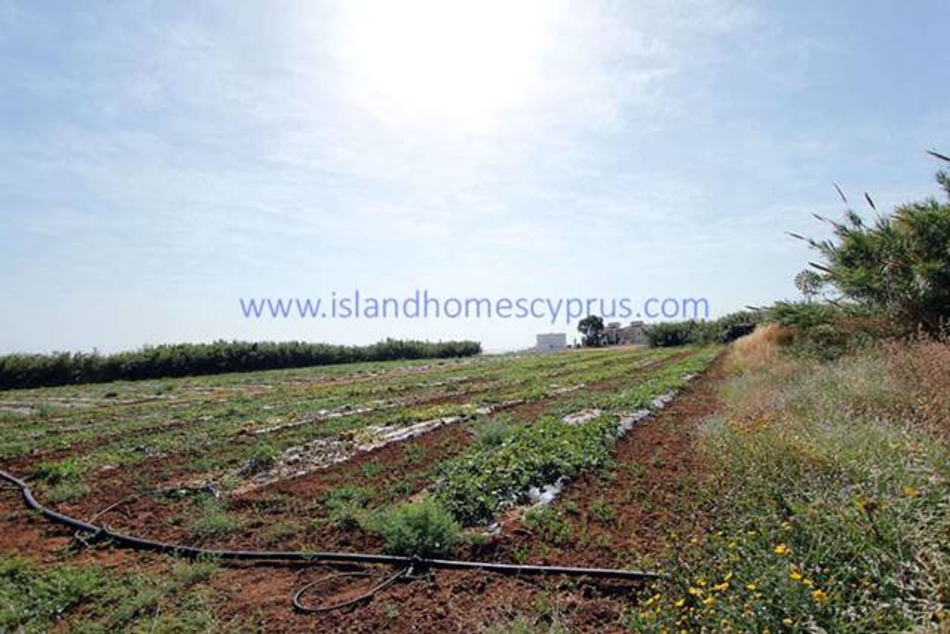 Land im Paralimni, Ammochostos 10757664