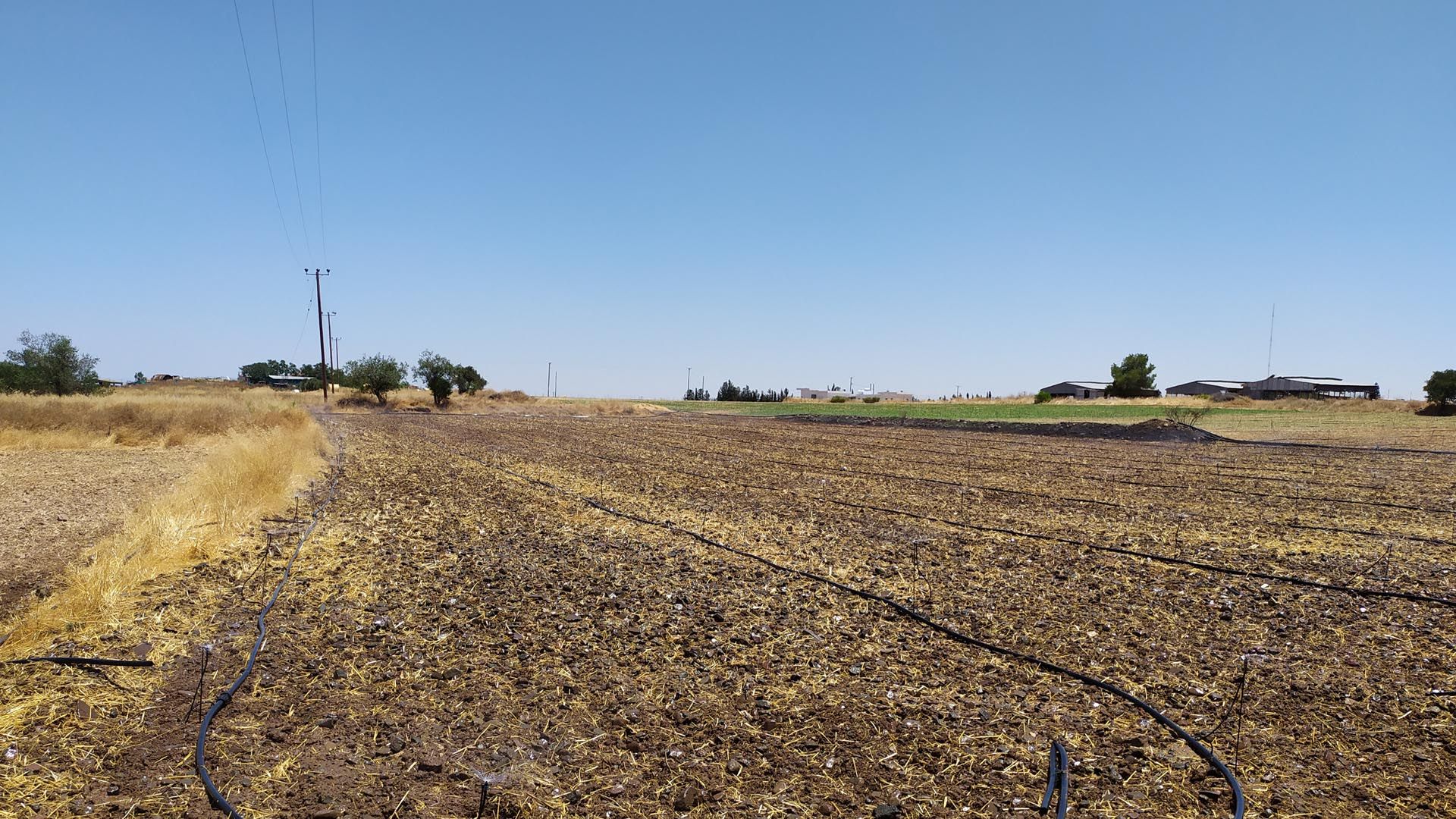 Land i Psimolofou, Lefkosia 10758370