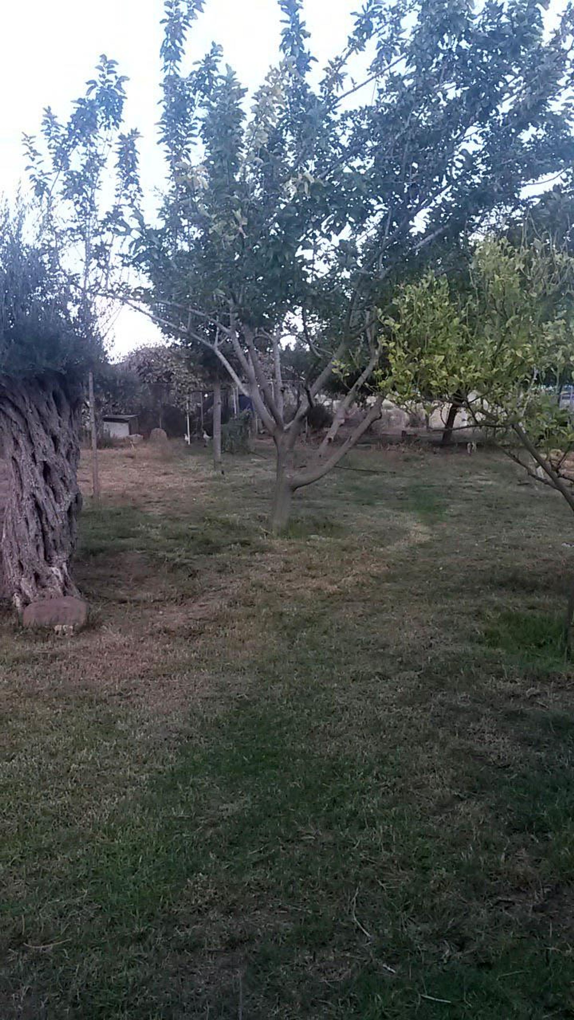 Land in Pampoula, Lemesos 10758554