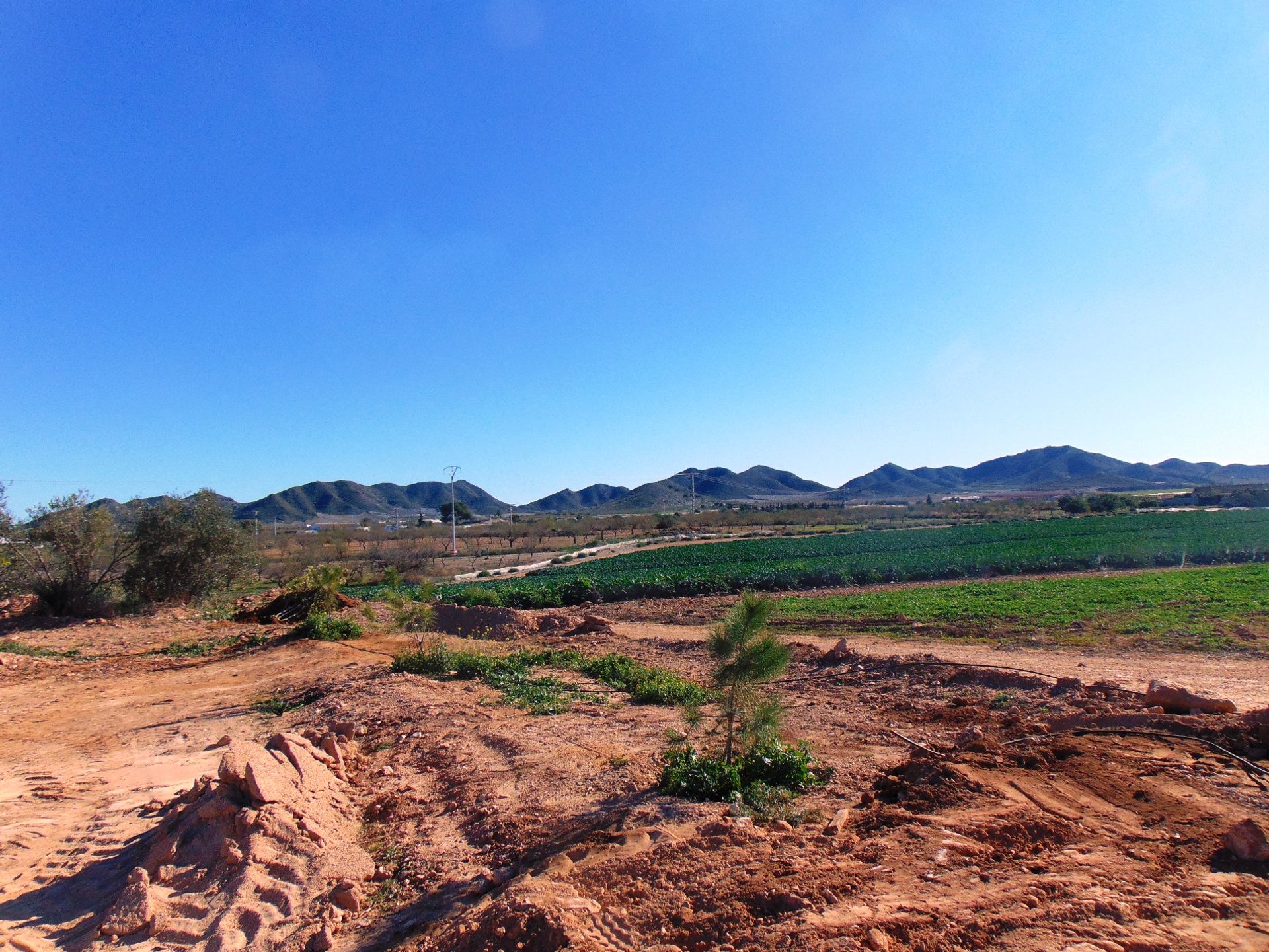 rumah dalam Fuente Álamo de Murcia, Region of Murcia 10759385