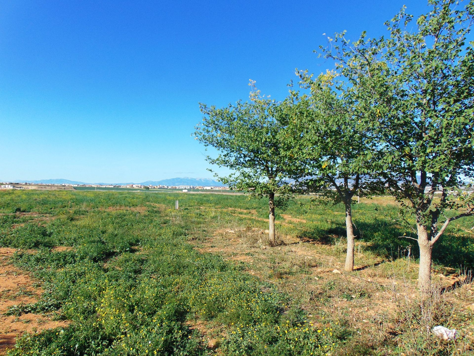 rumah dalam Fuente Álamo de Murcia, Region of Murcia 10759385