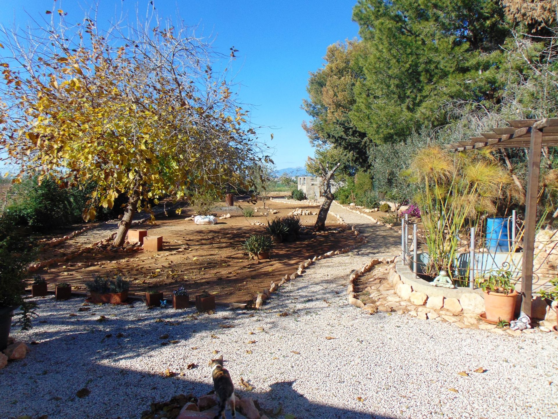 rumah dalam Fuente Álamo de Murcia, Region of Murcia 10759385