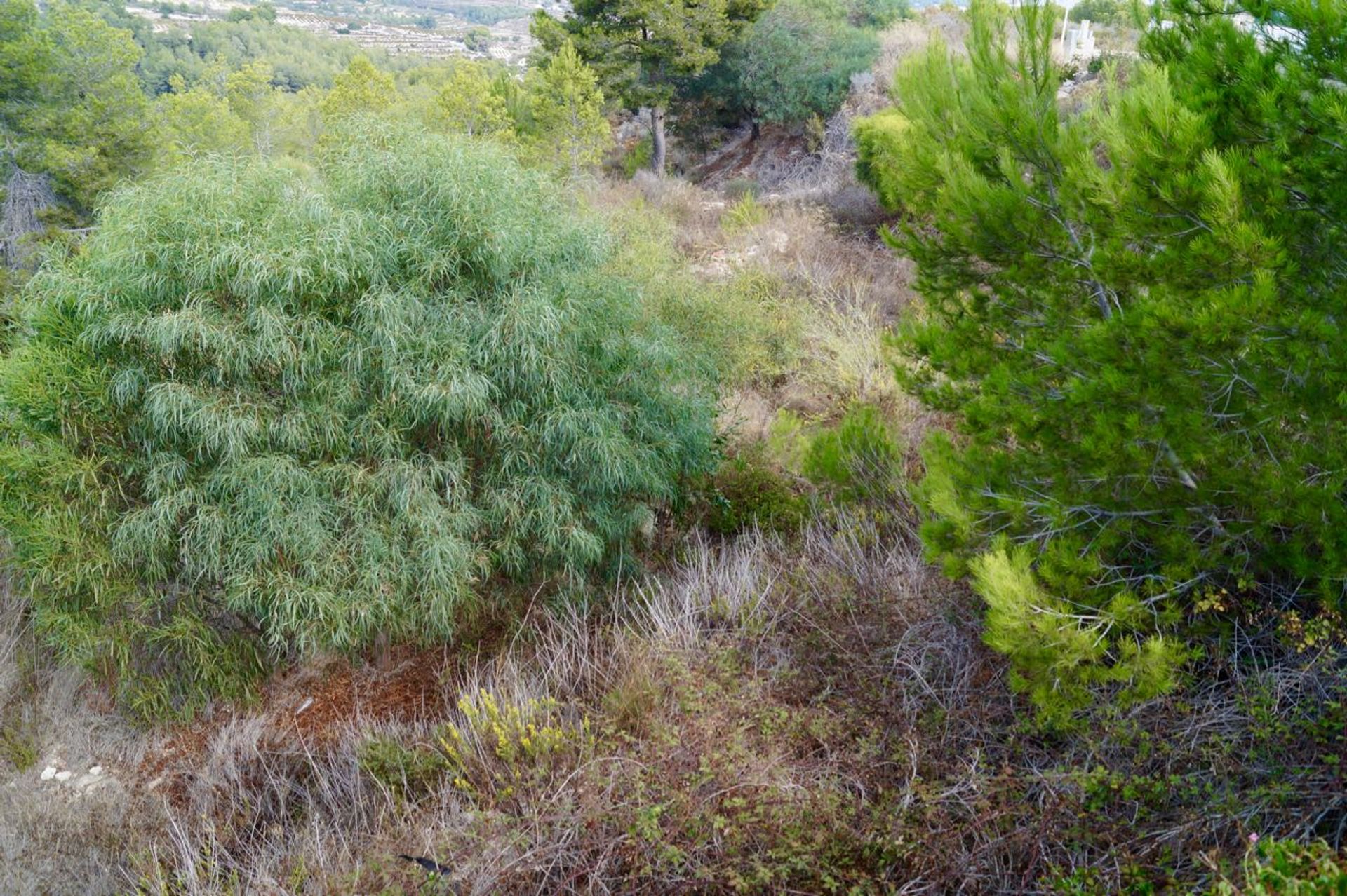 Terre dans Teulada, Comunidad Valenciana 10759785