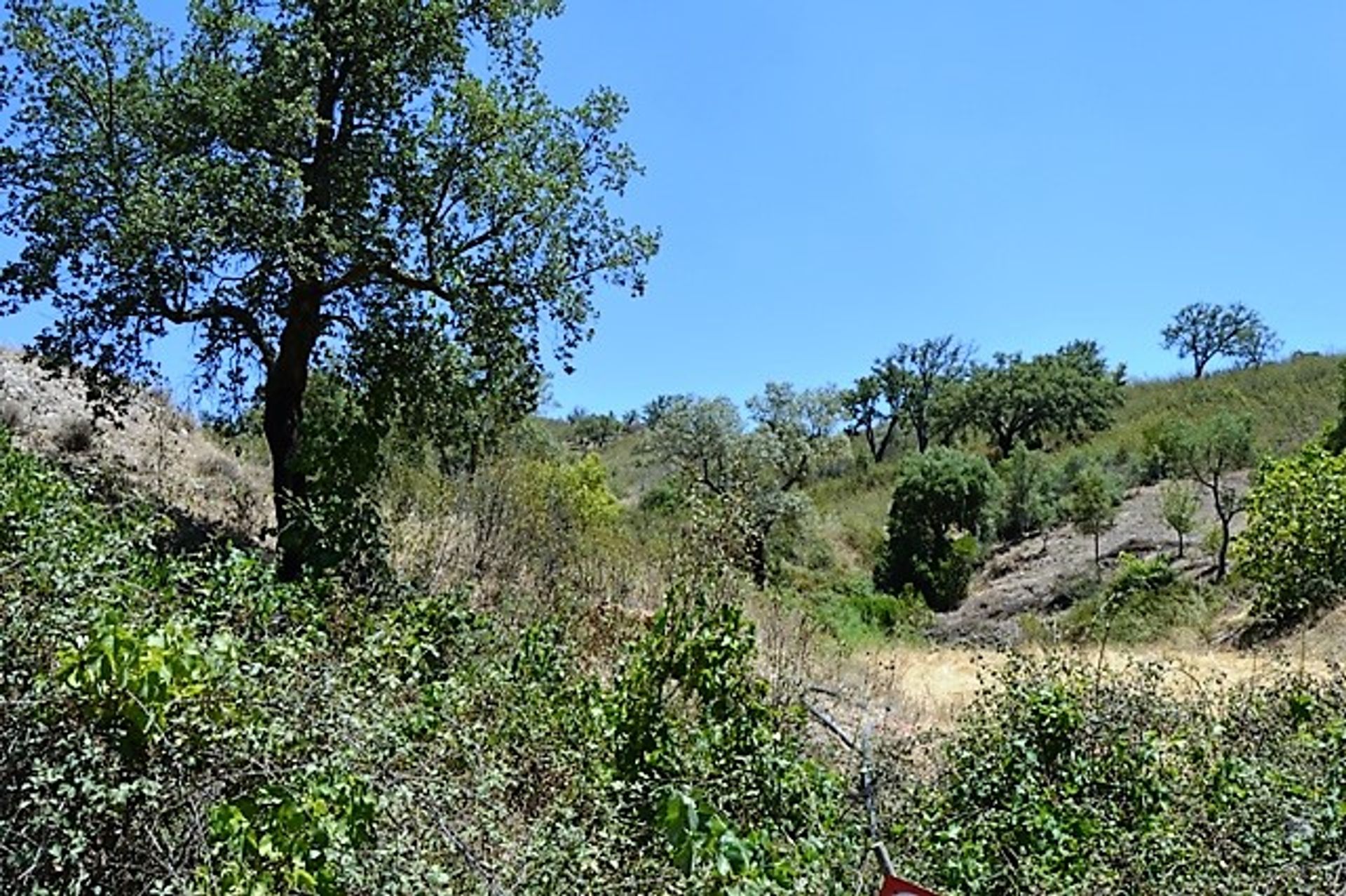 Rumah di Sao Bartolomeu de Messines, Faro 10760866