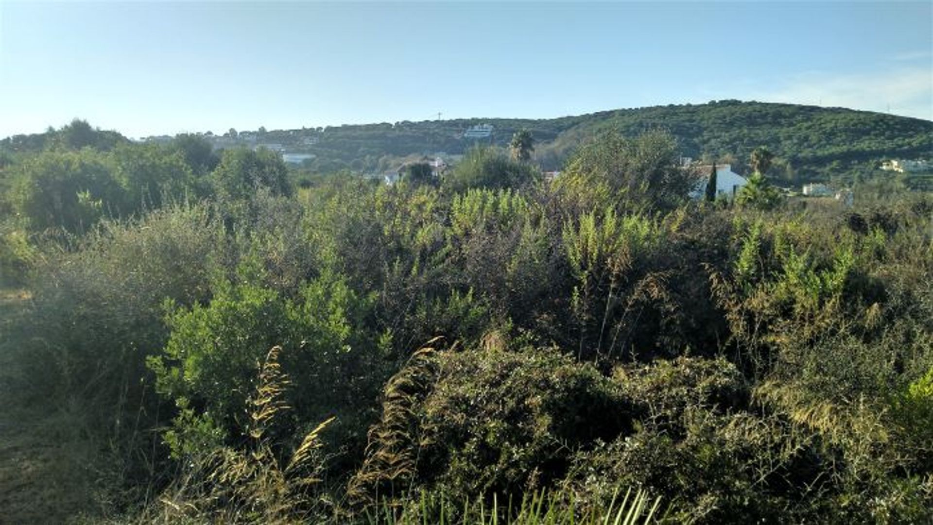 Land in Sotogrande, Andalusia 10760884