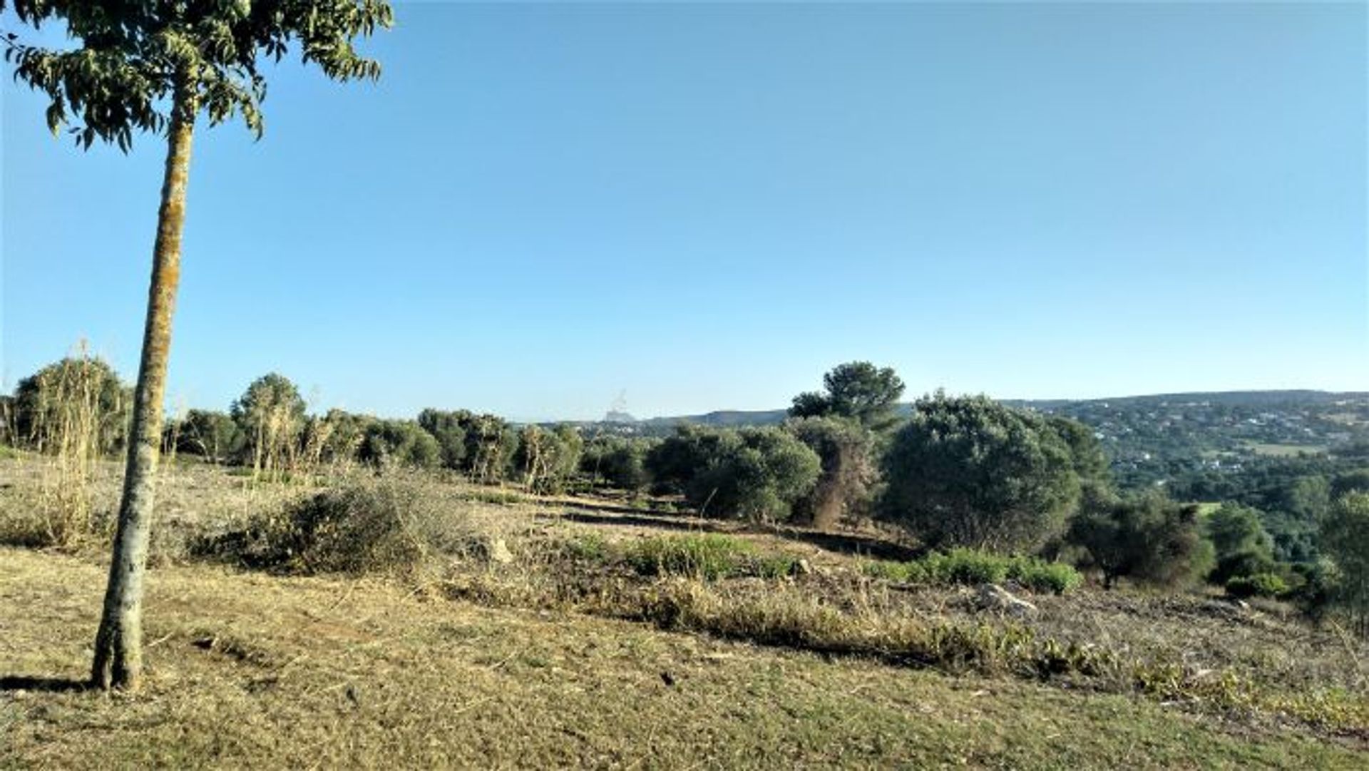 Land in Sotogrande, Andalusia 10760884