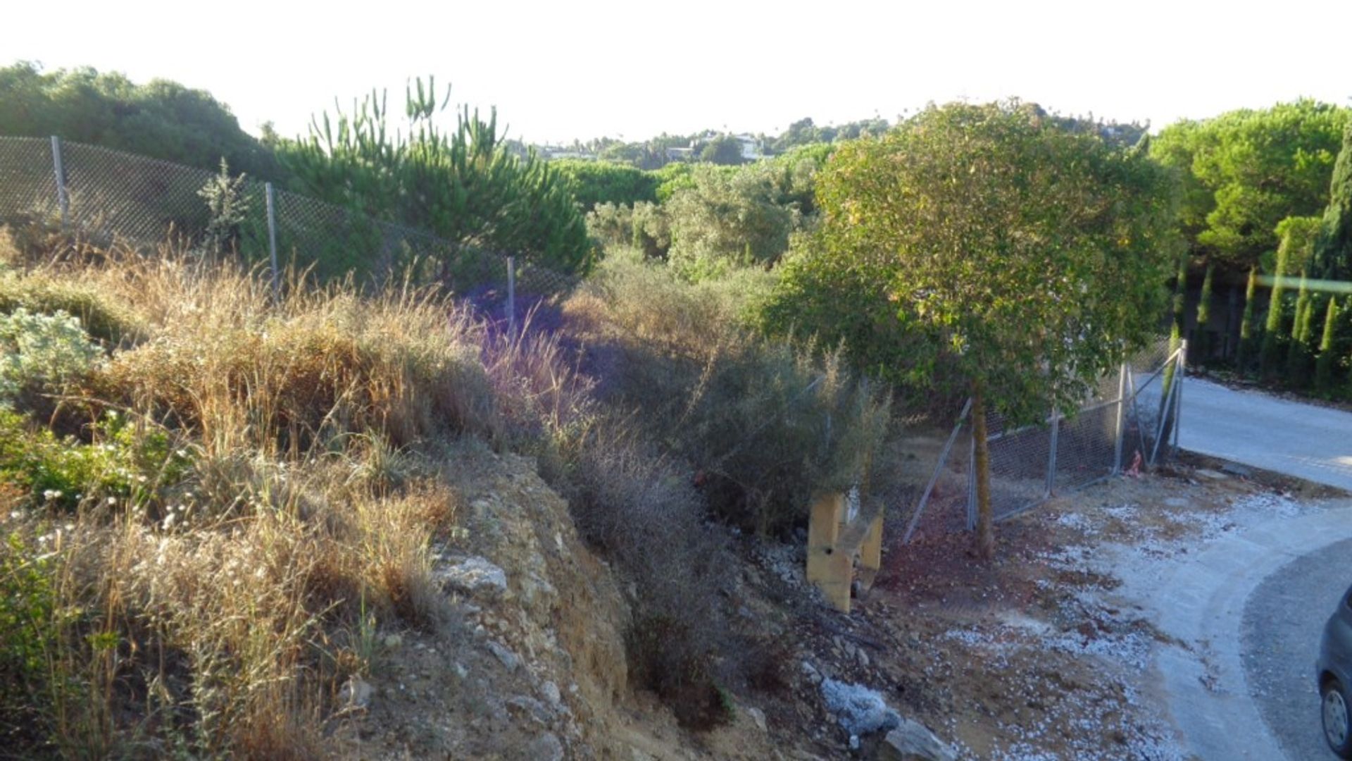 Land in Sotogrande, Andalusia 10760885