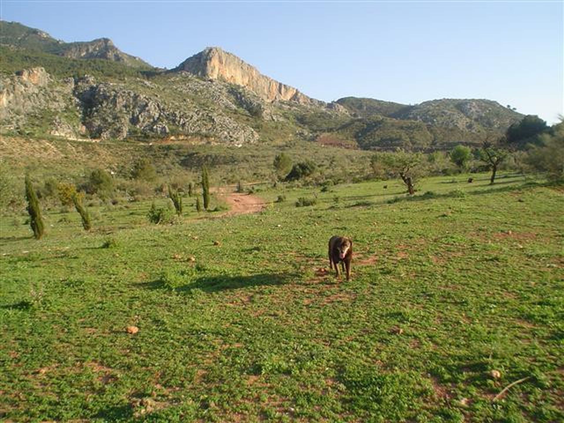 Rumah di Ardales, Andalusia 10761610