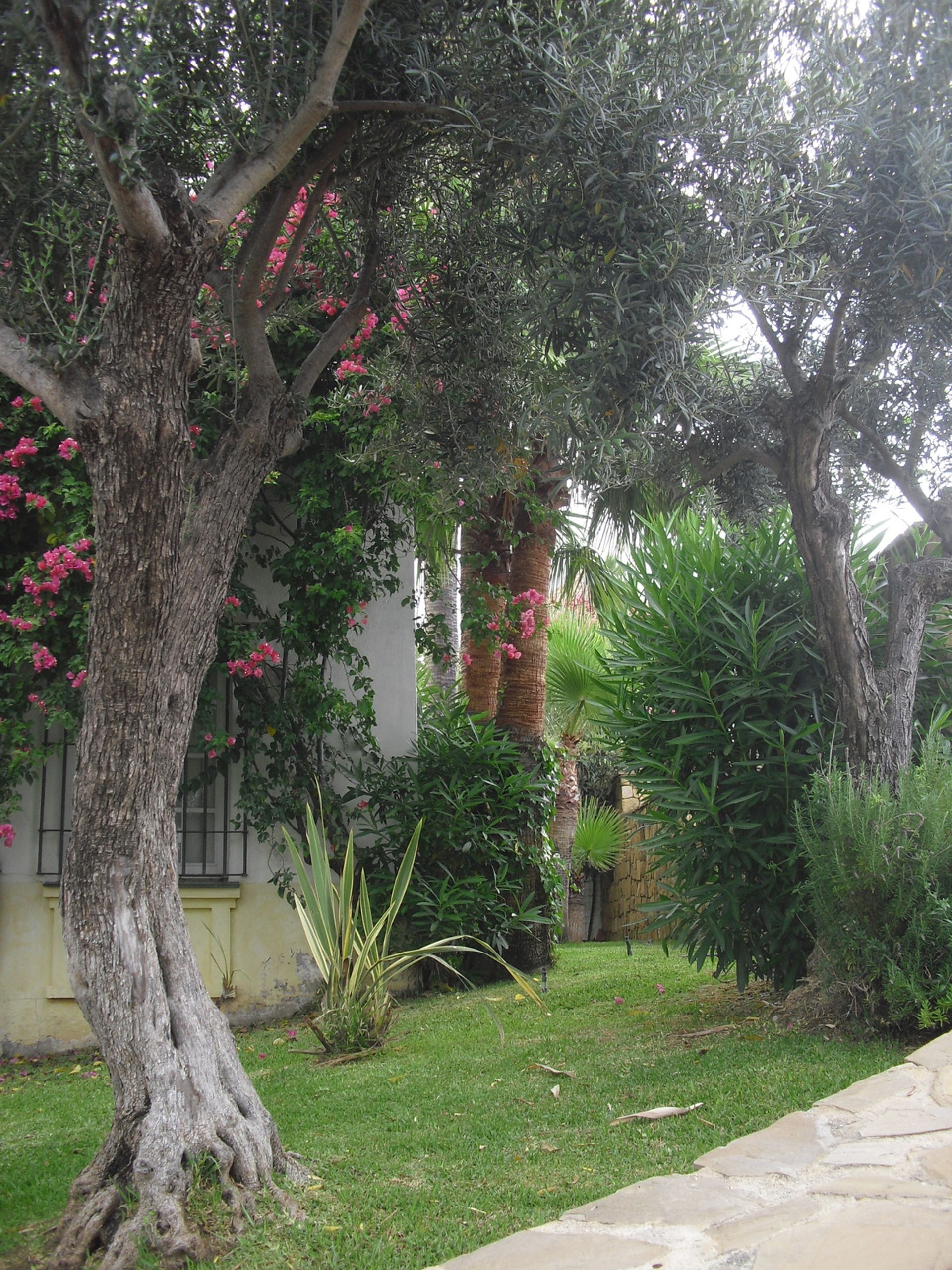 casa en Istán, Andalucía 10761629