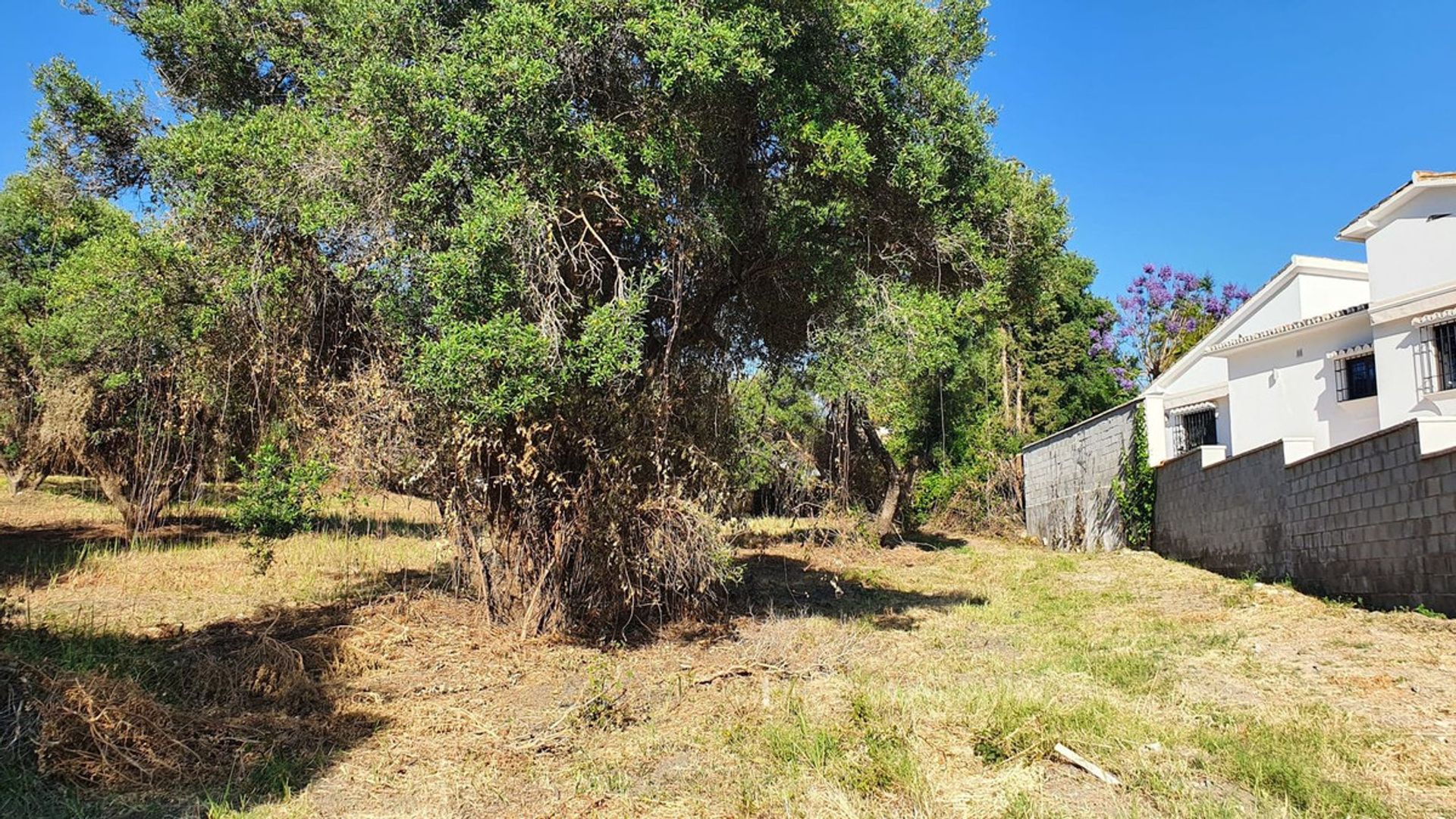 Terra no São Pedro de Alcântara, Andaluzia 10761823