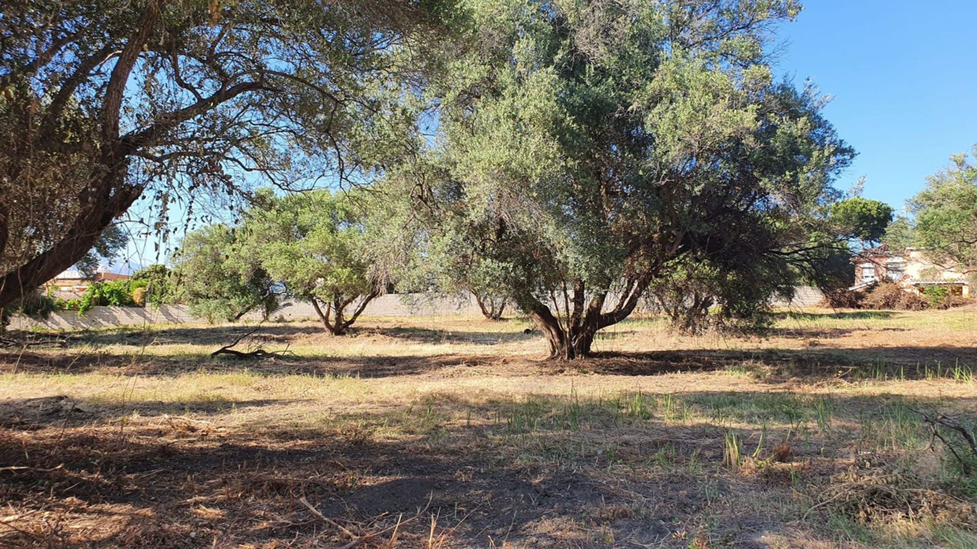 Terra no São Pedro de Alcântara, Andaluzia 10761823