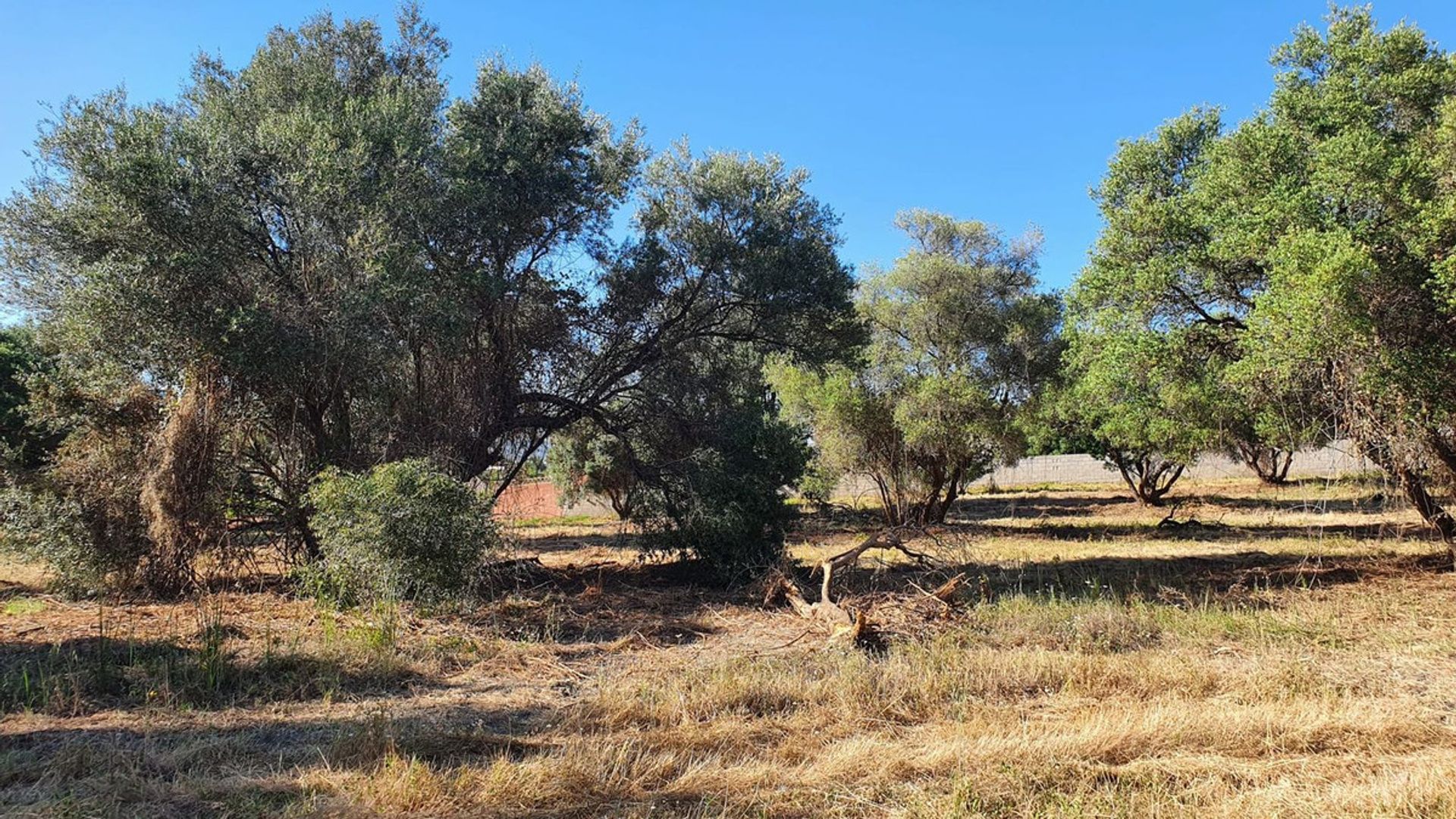 Terra no São Pedro de Alcântara, Andaluzia 10761823