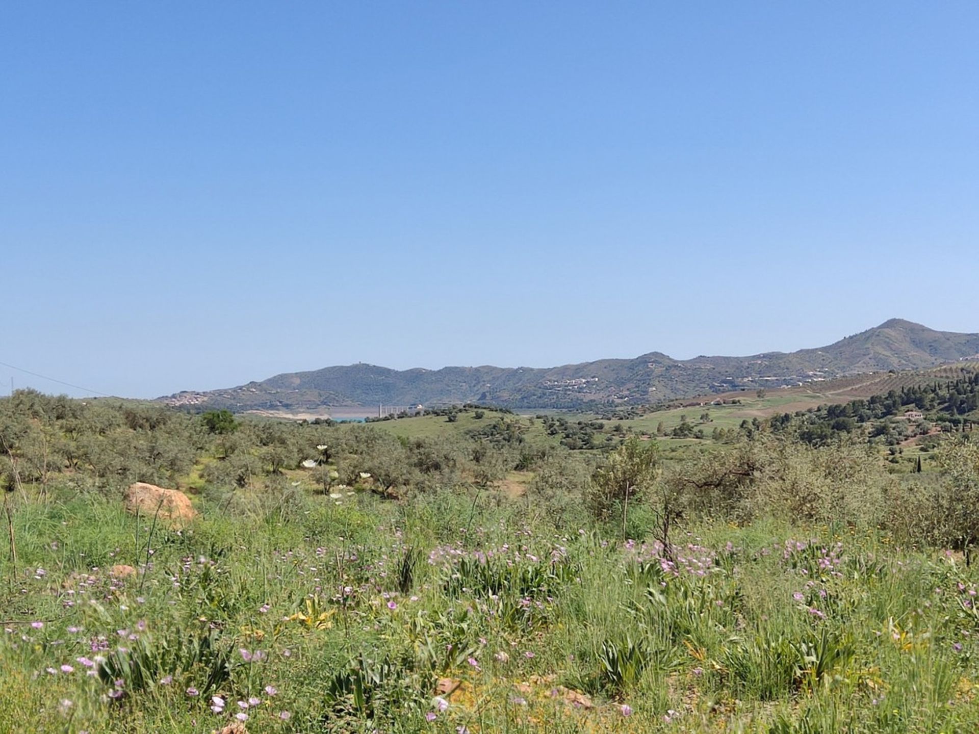 Γη σε Periana, Andalucía 10761912