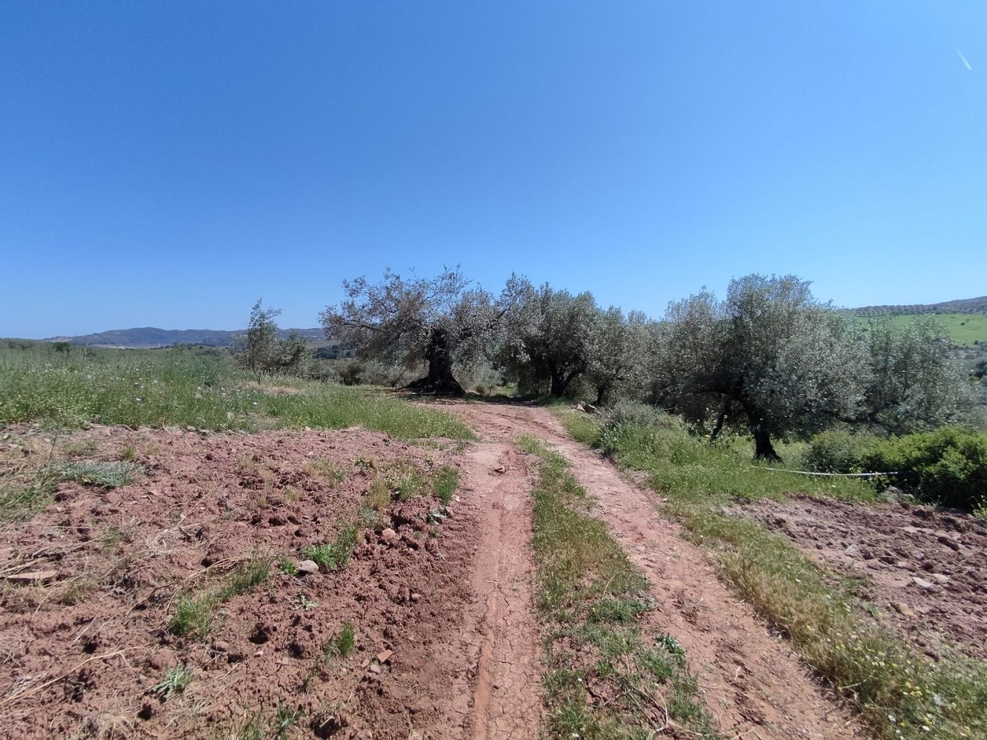 Maa sisään Periana, Andalusia 10761912