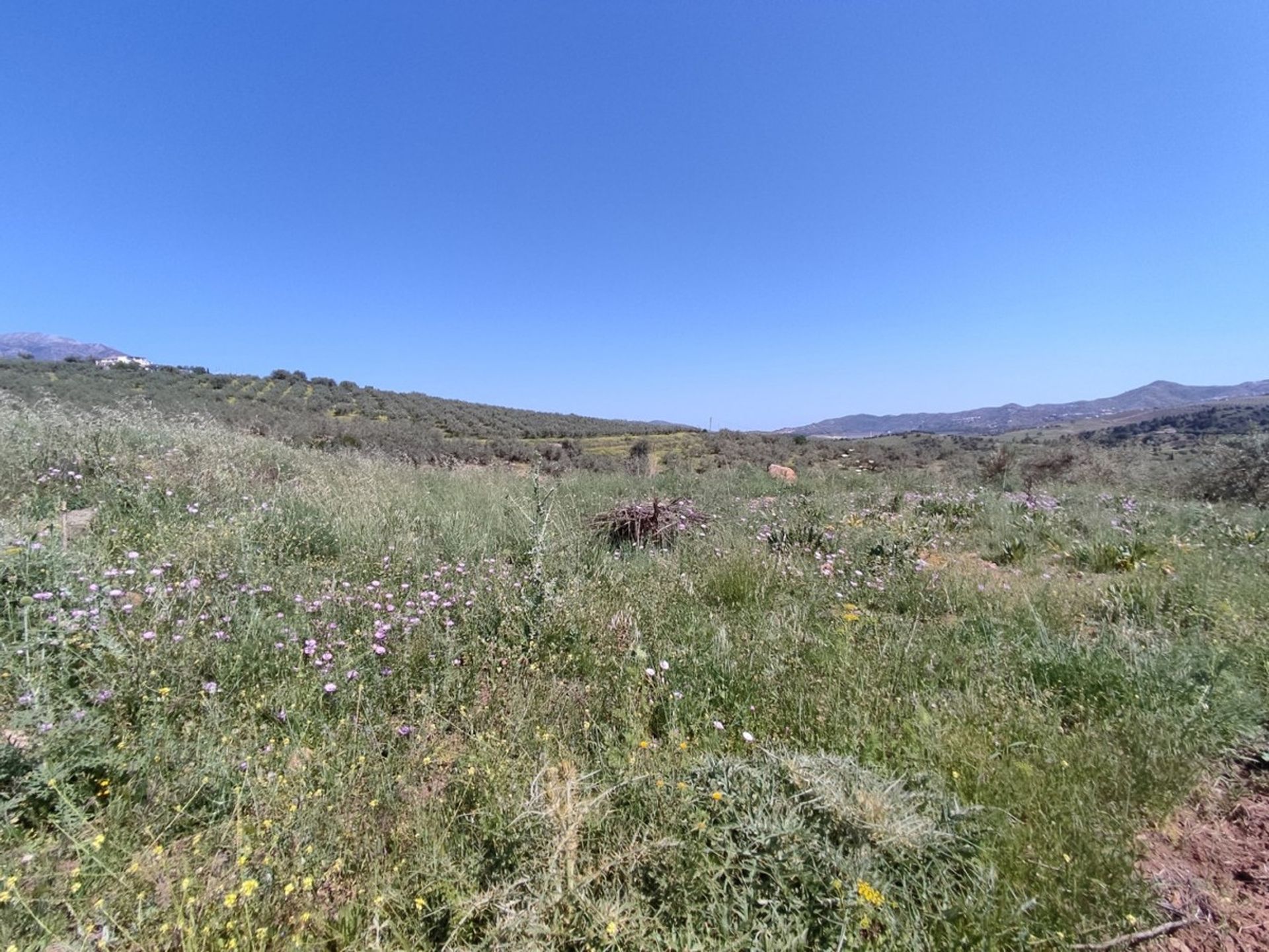 Maa sisään Periana, Andalusia 10761912