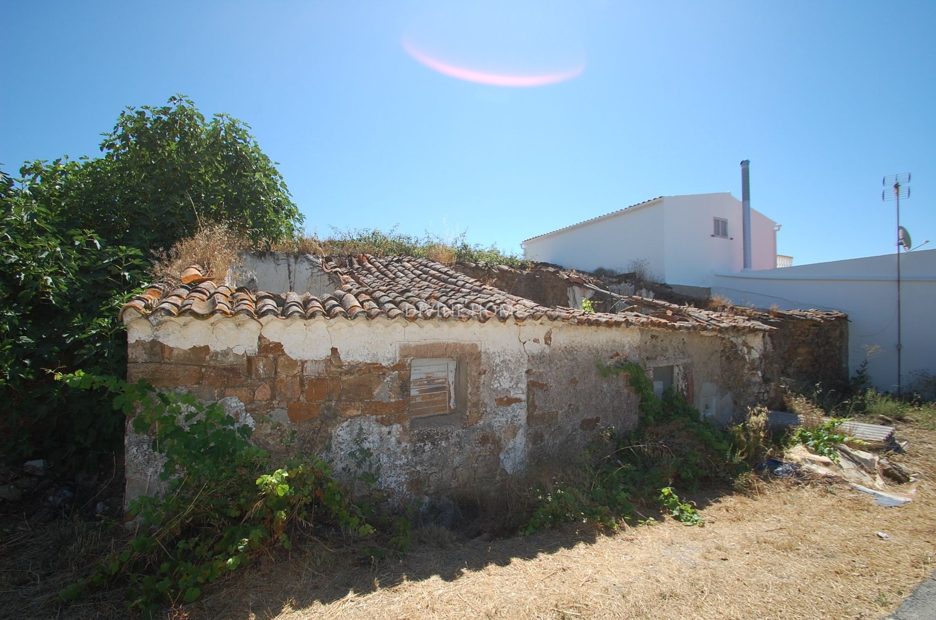 Terre dans Adéga, Faro 10762001