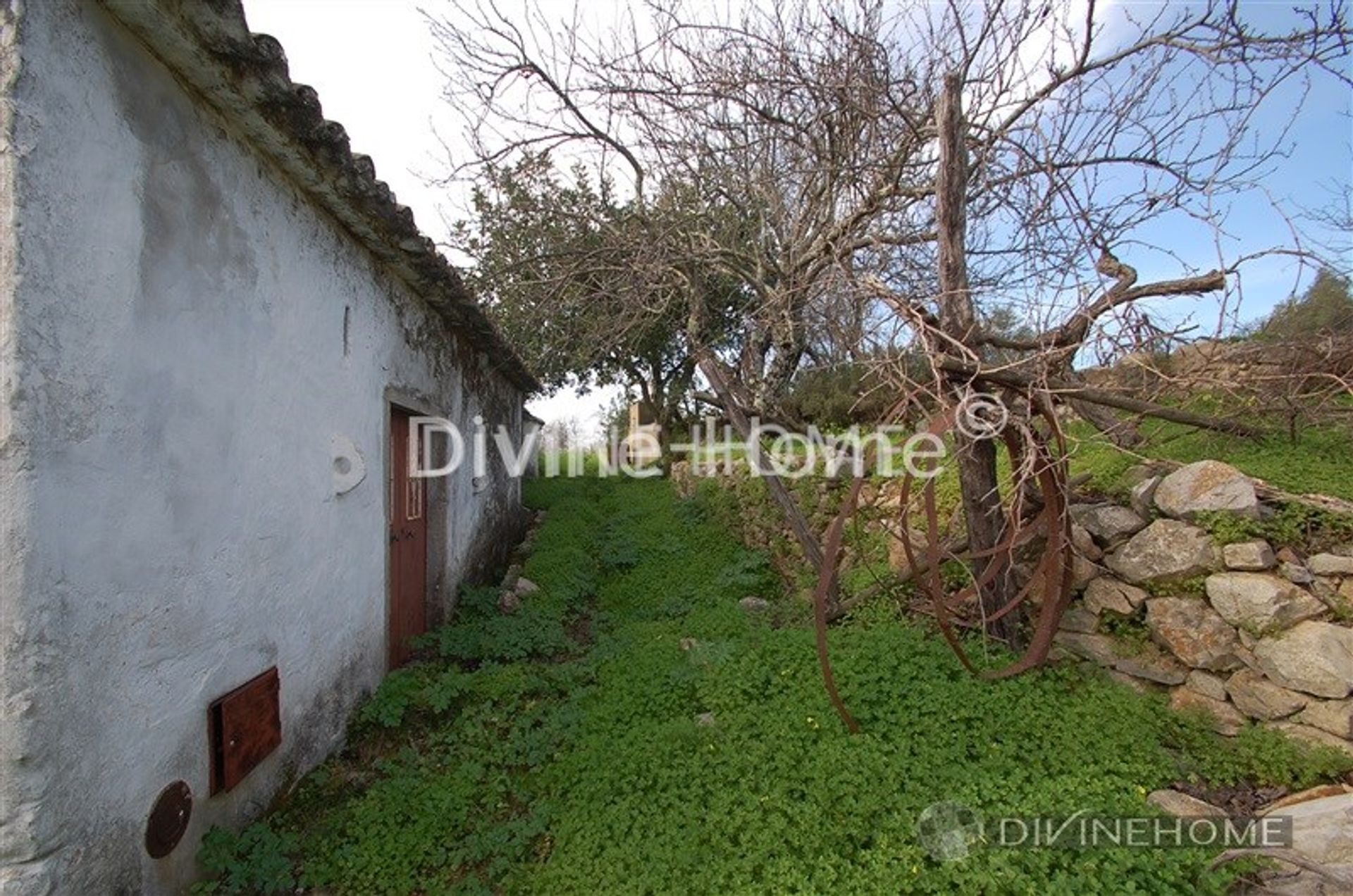 House in São Brás de Alportel, Faro 10762003