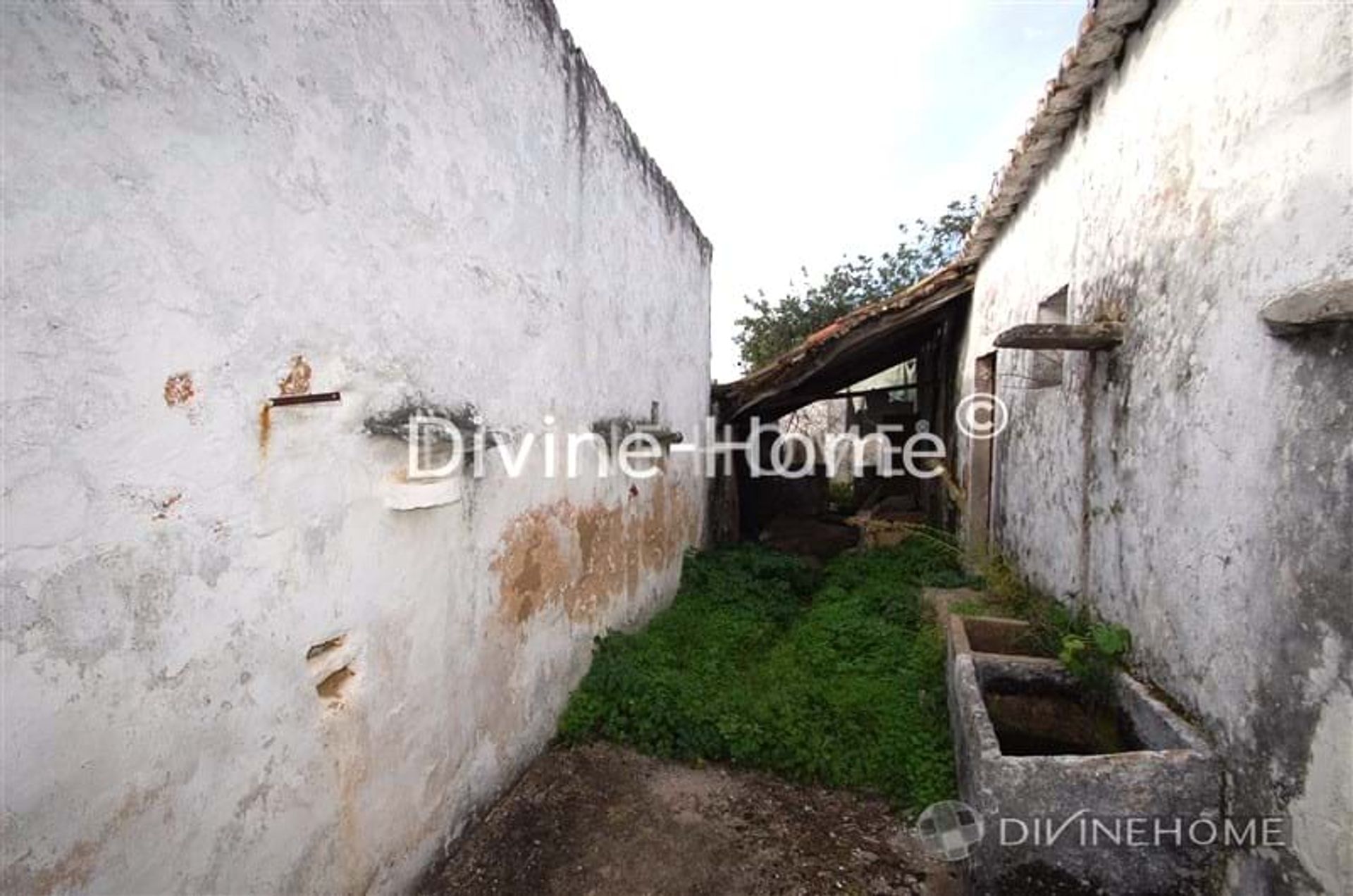 House in São Brás de Alportel, Faro 10762003