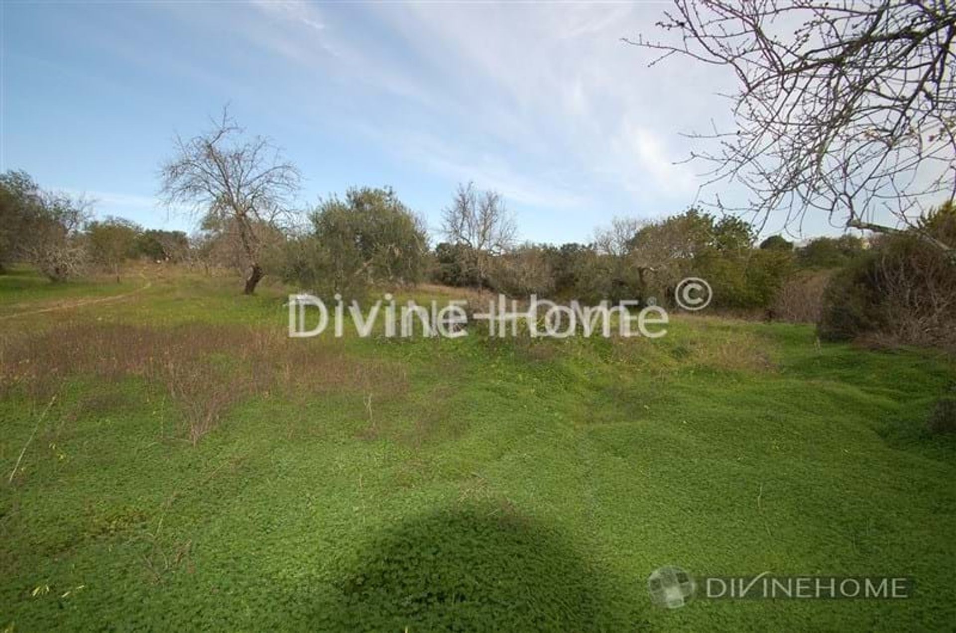 loger dans São Brás de Alportel, Faro 10762003