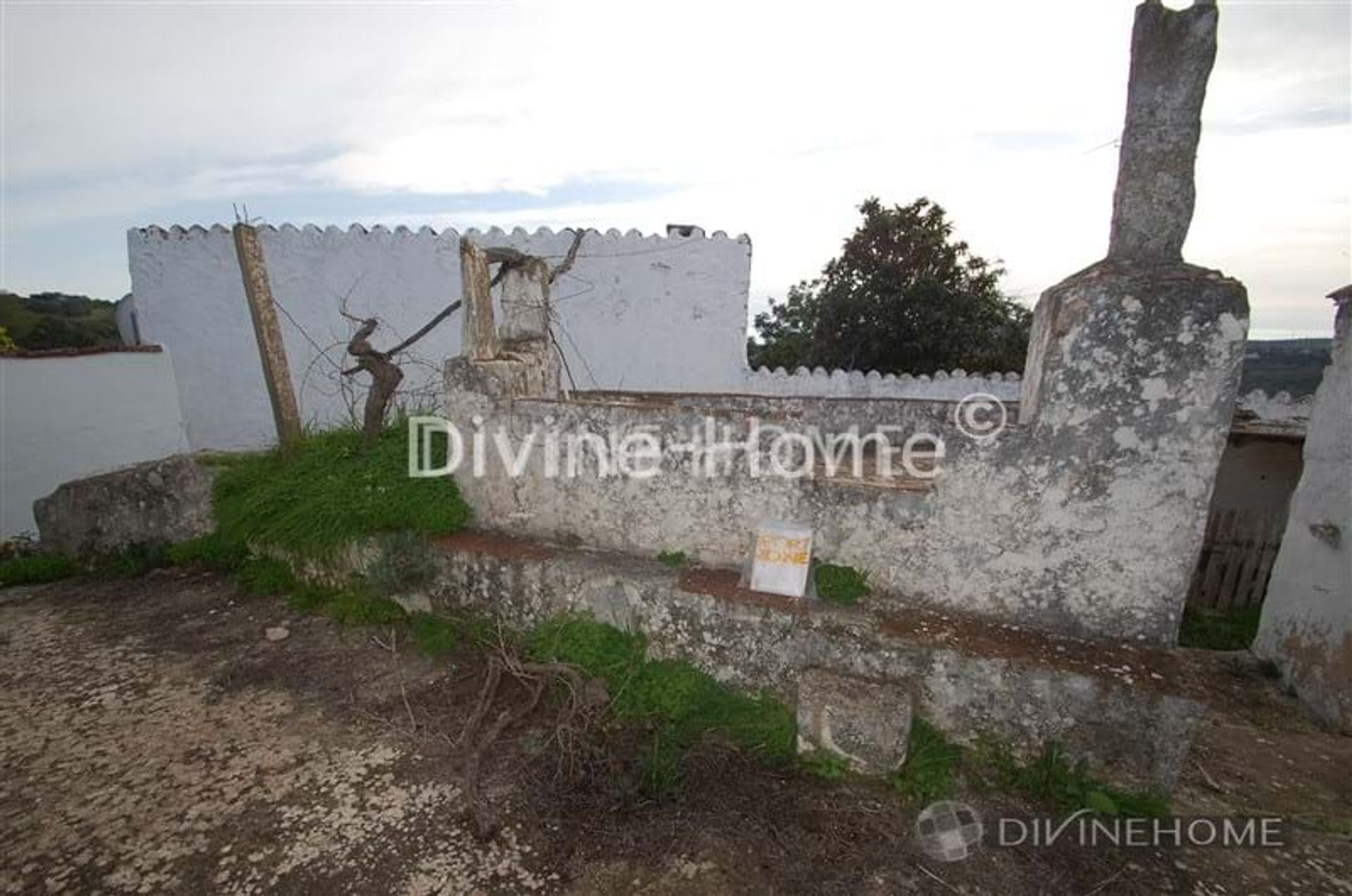 House in São Brás de Alportel, Faro 10762003