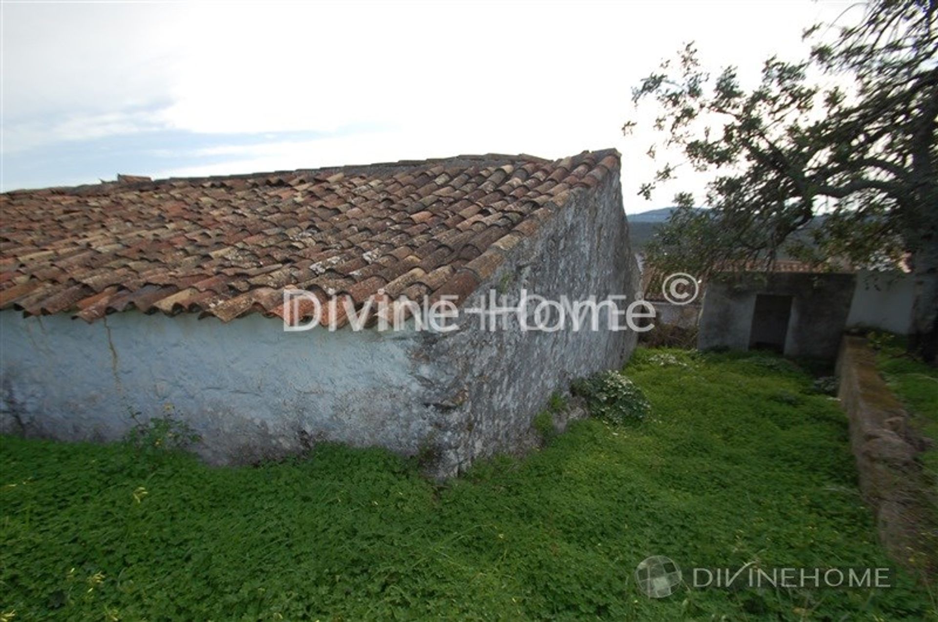 House in São Brás de Alportel, Faro 10762003