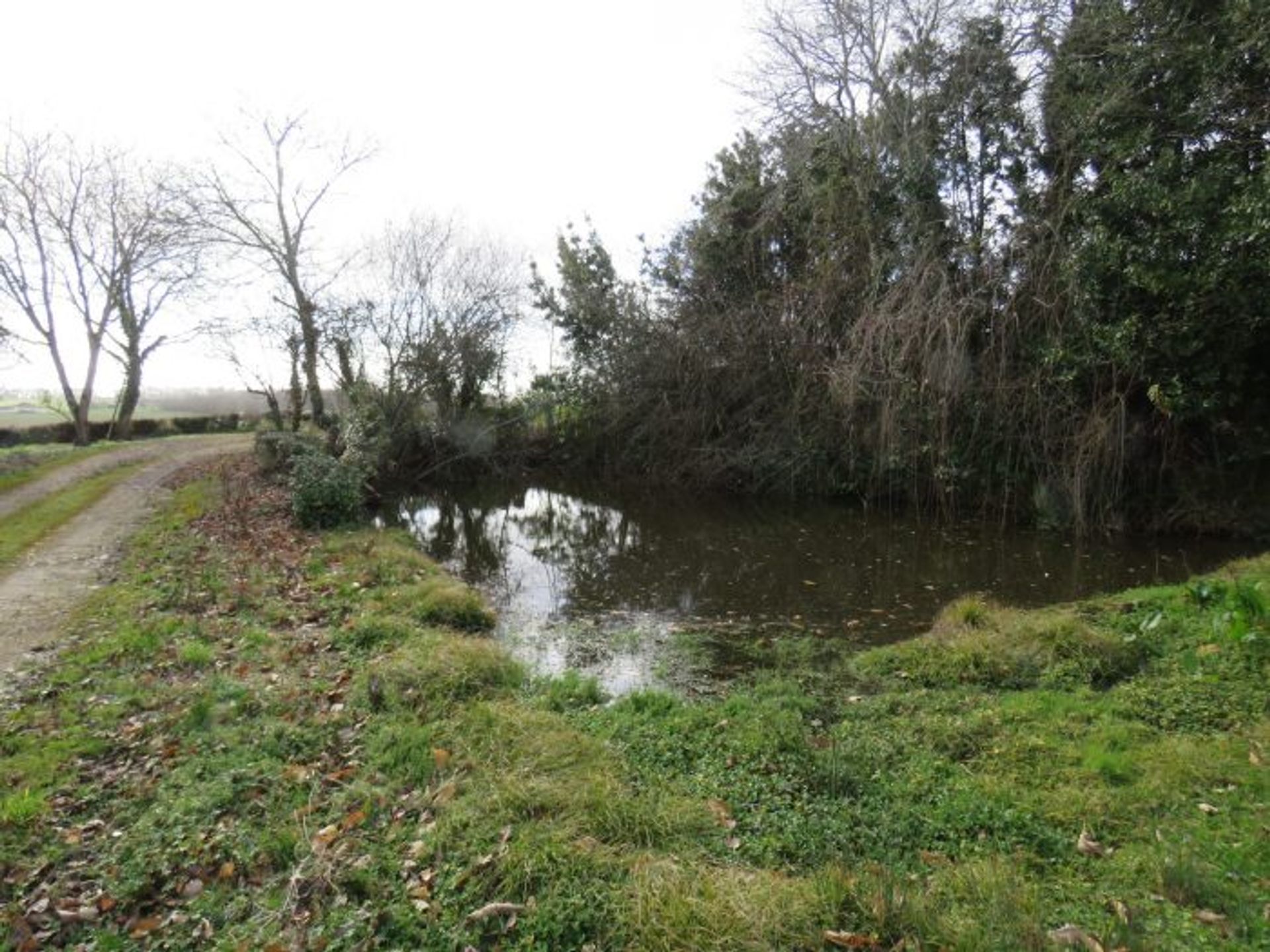 Talo sisään Masseube, Occitanie 10762874