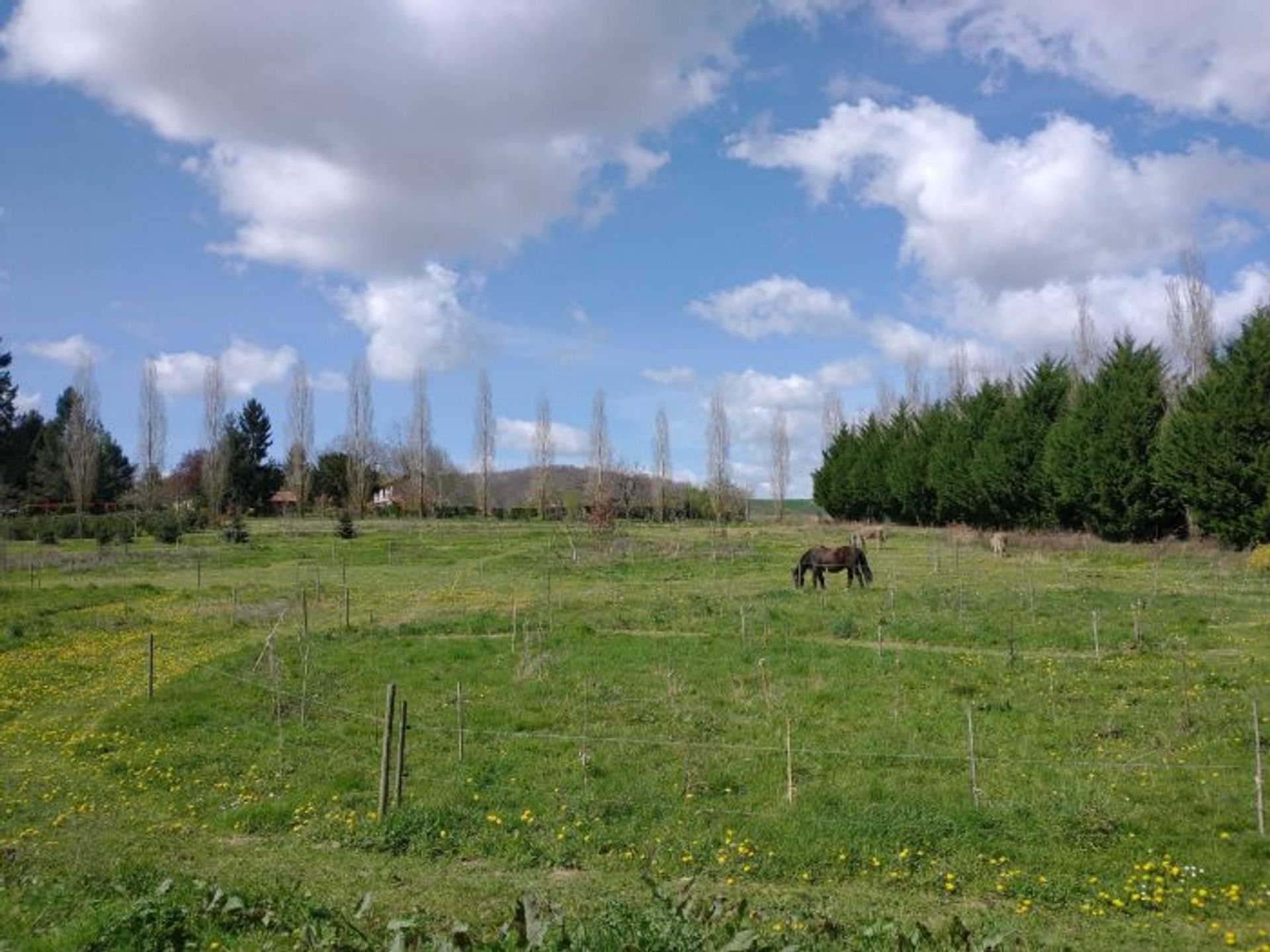 loger dans Castelnau Magnoac, Occitanie 10762882