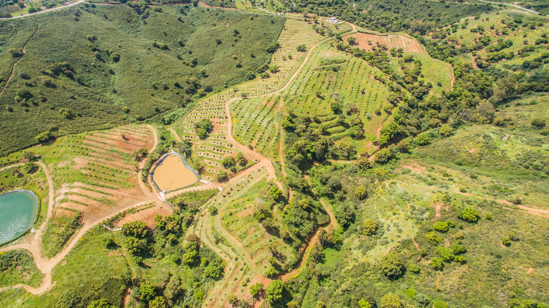 Tanah di Mijas, Andalucía 10763658