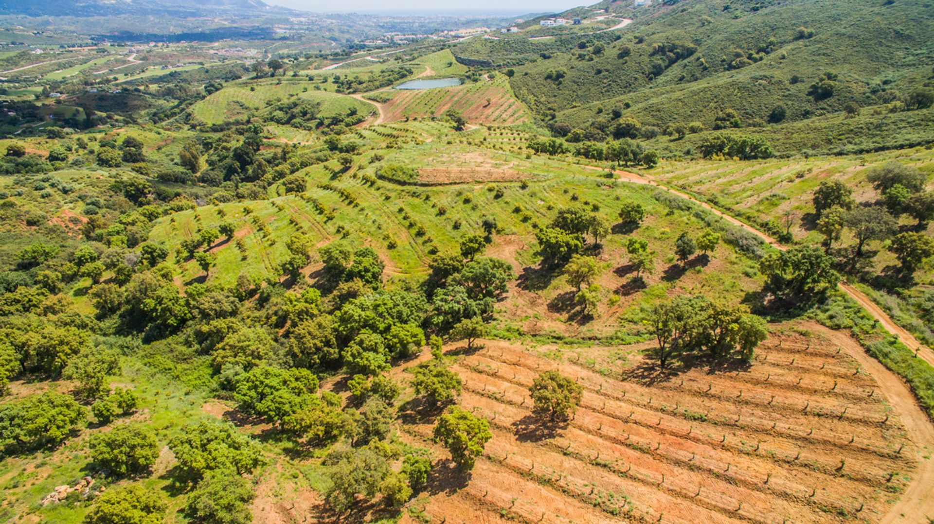 Tanah di Mijas, Andalucía 10763658