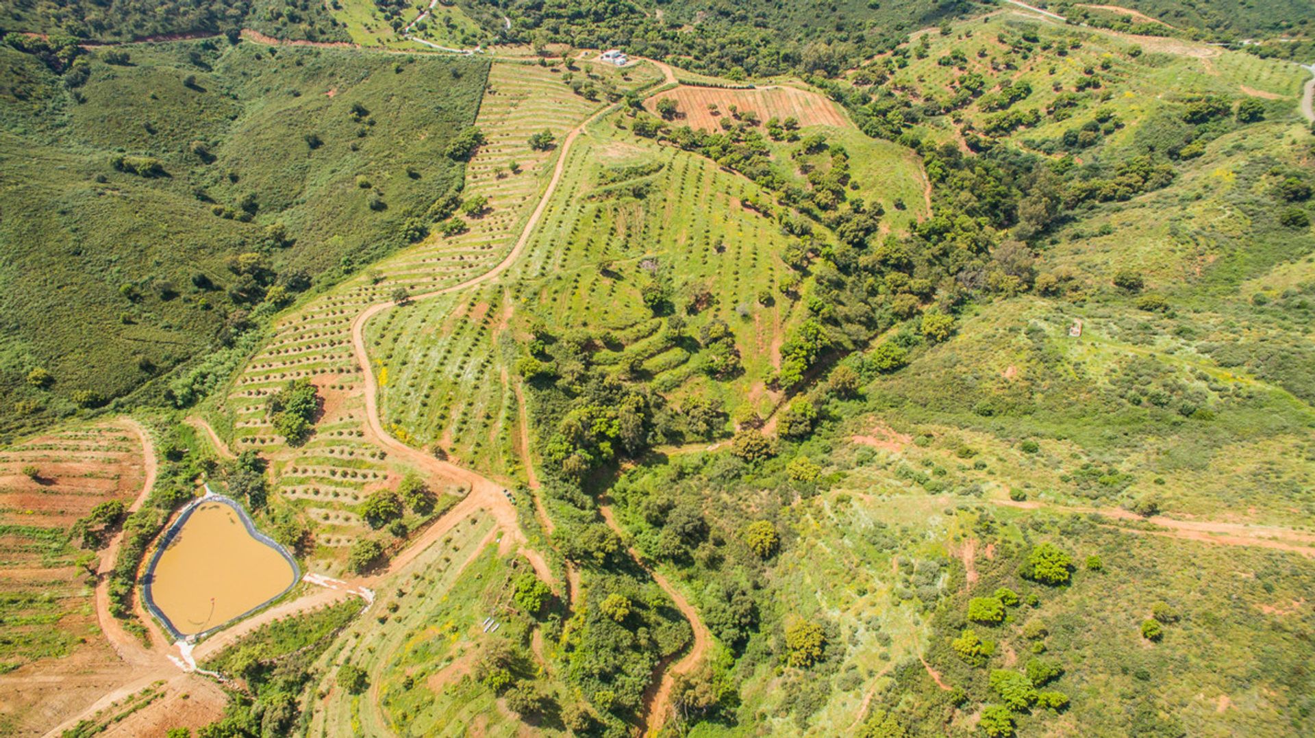 Tanah di Mijas, Andalucía 10763658