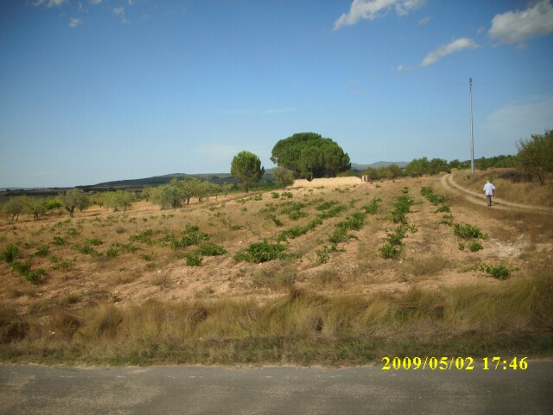 Land in Villena, Comunidad Valenciana 10763680