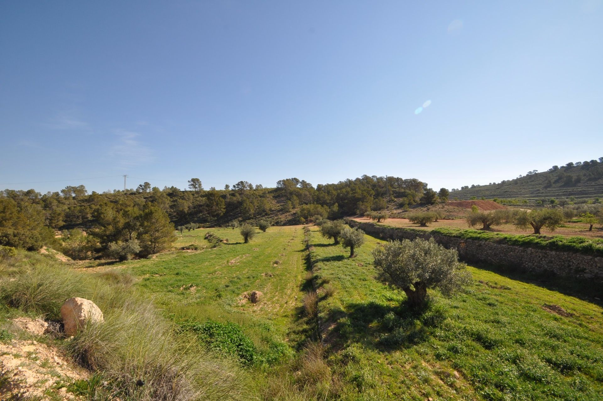 土地 在 La Zarza, Región de Murcia 10764809