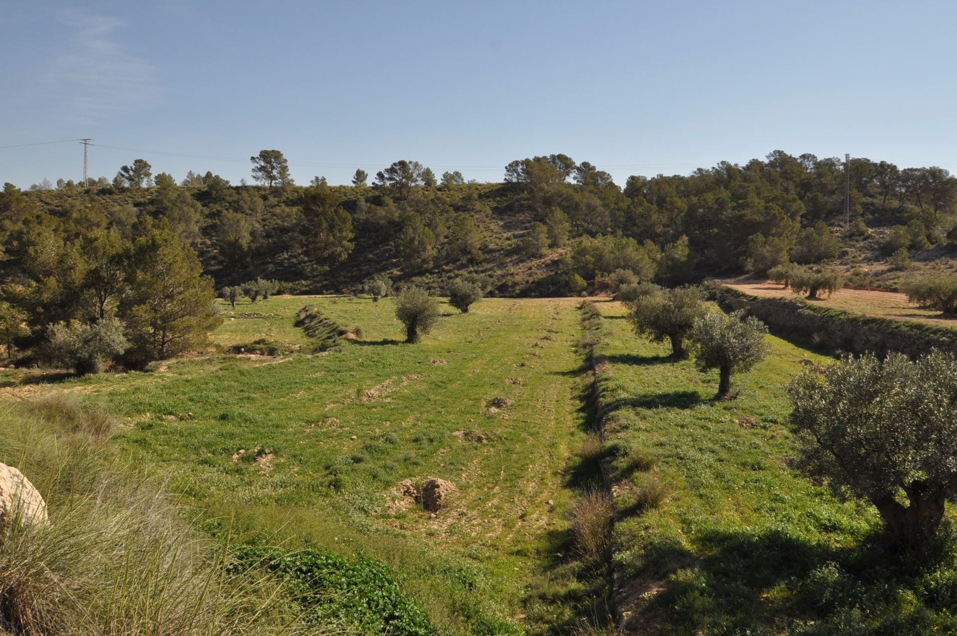 Maa sisään La Zarza, Región de Murcia 10764809