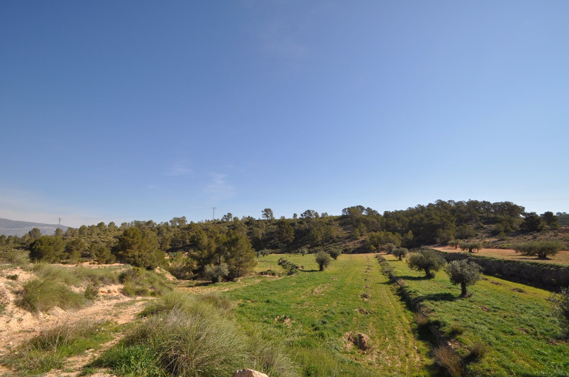 土地 在 La Zarza, Región de Murcia 10764809