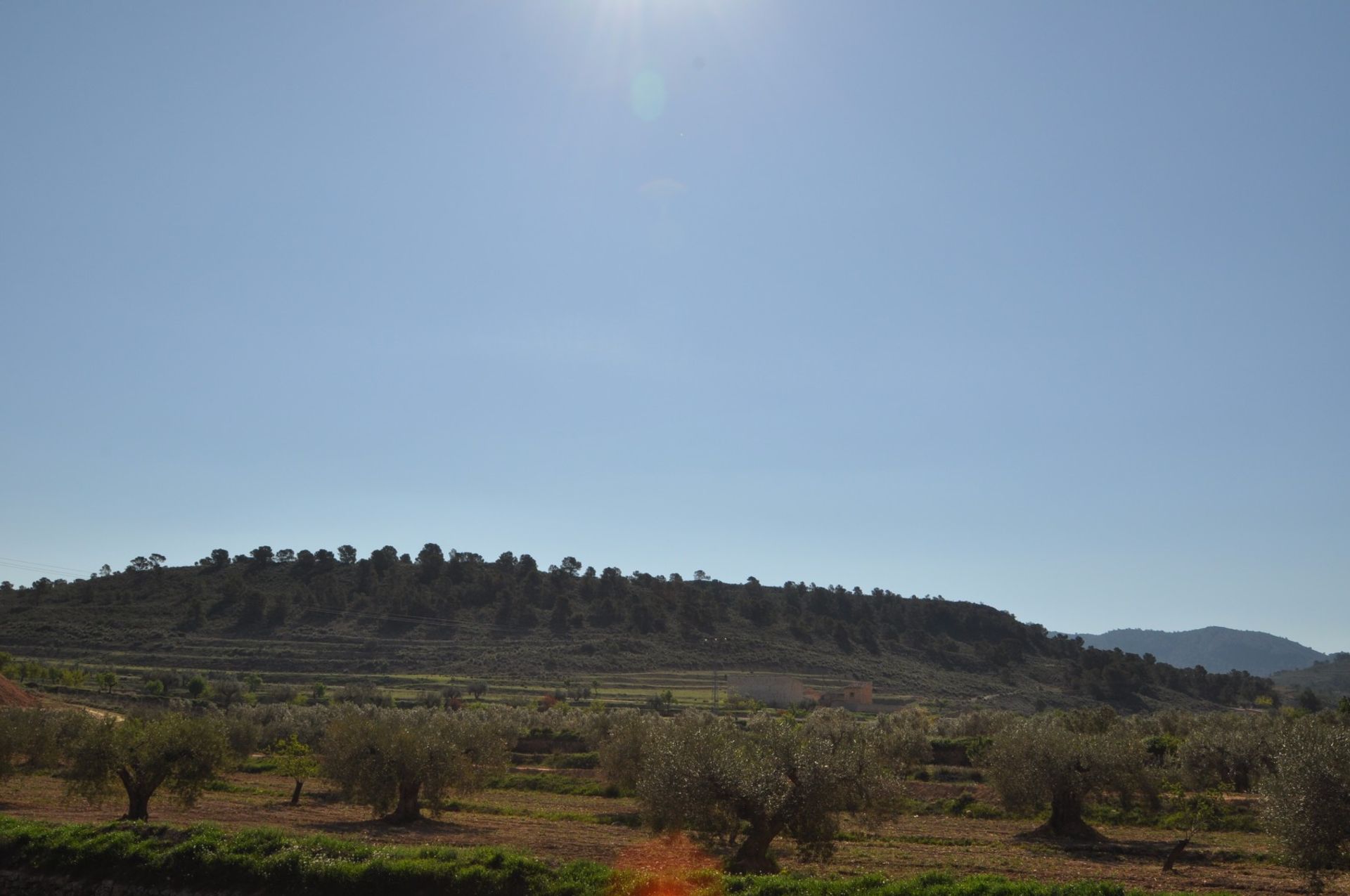 Land i La Zarza, Región de Murcia 10764809