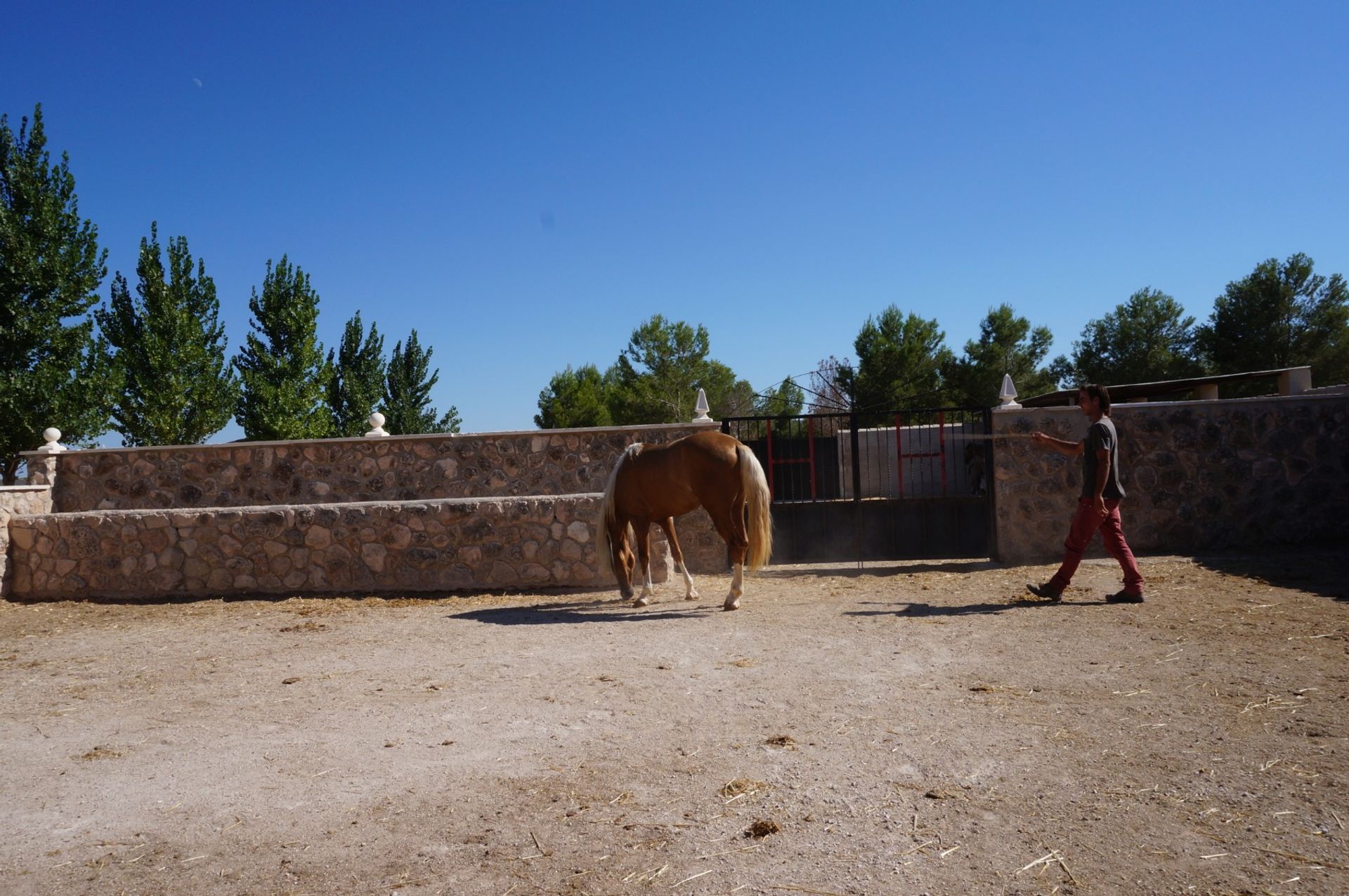 Hus i Yecla, Región de Murcia 10764811