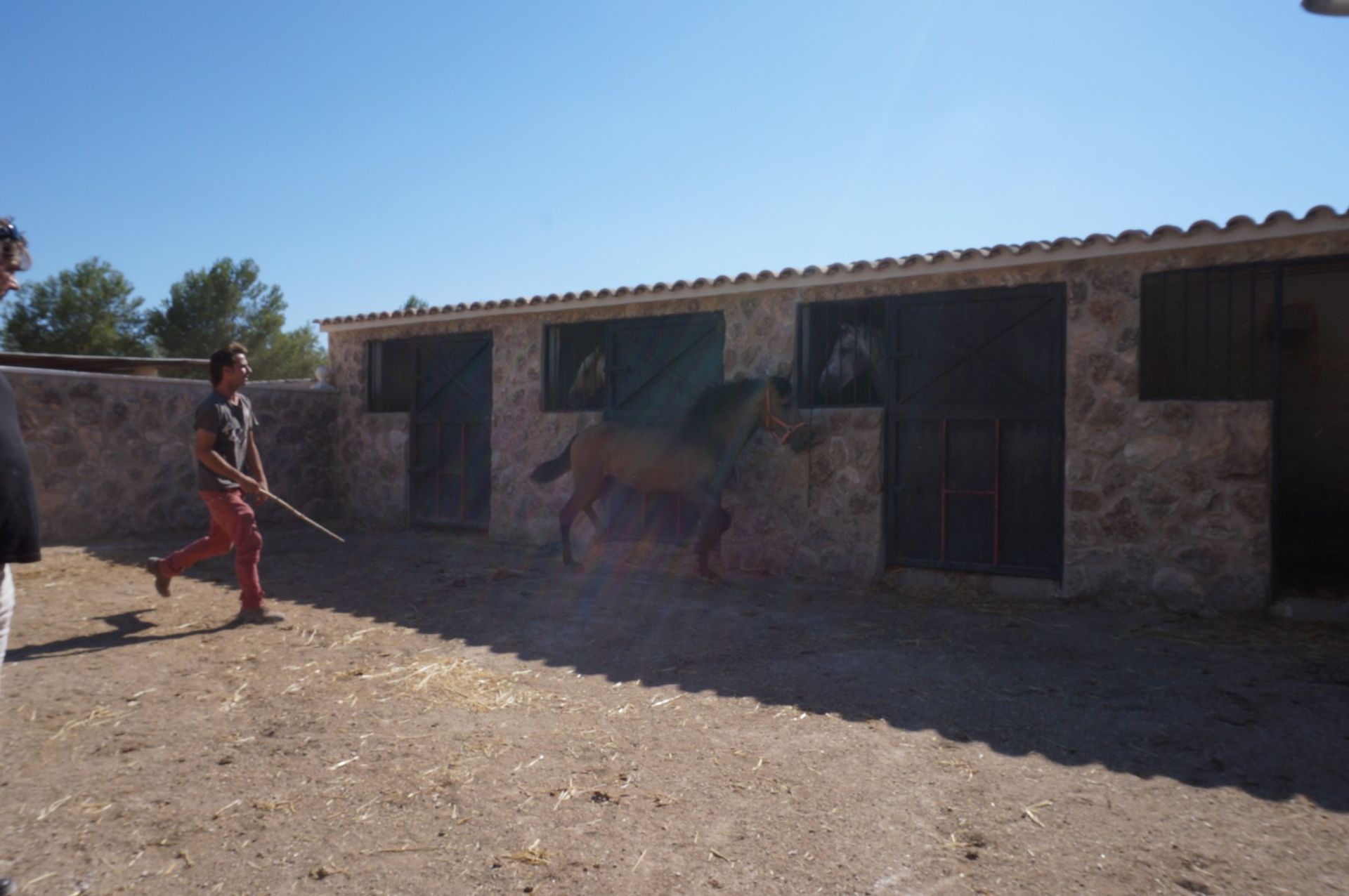 Hus i Yecla, Región de Murcia 10764811