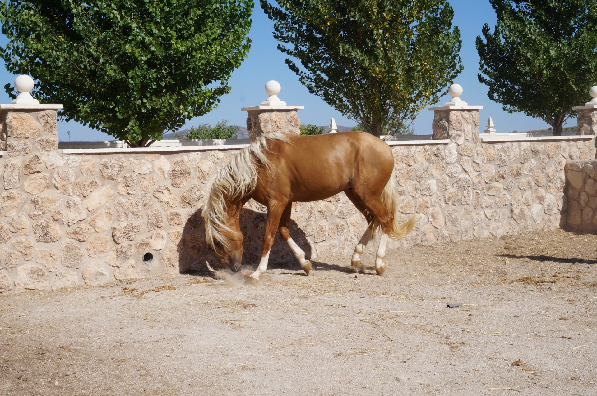 Hus i Yecla, Región de Murcia 10764811