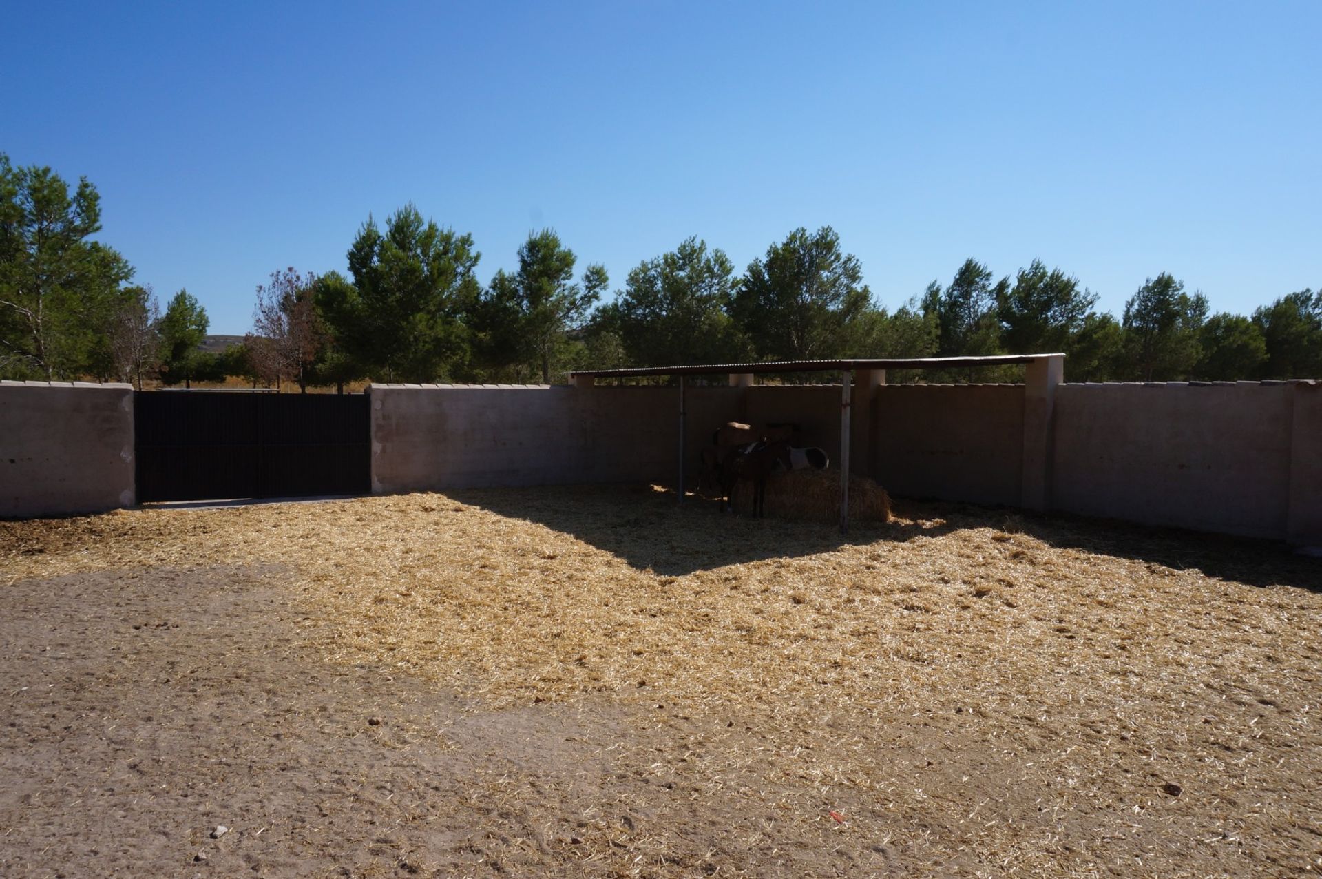 Hus i Yecla, Región de Murcia 10764811